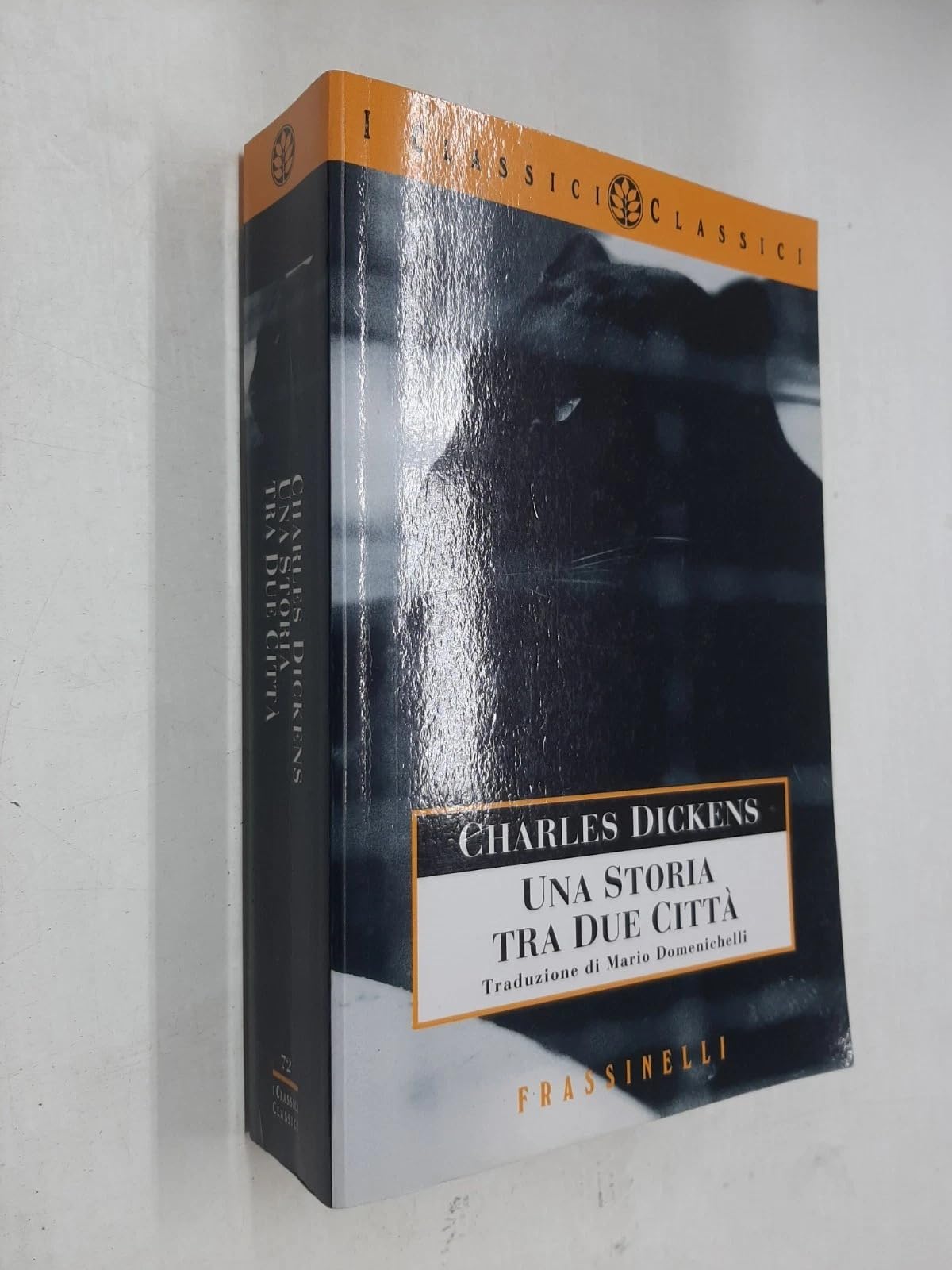 Una storia tra due città (Frassinelli narrativa straniera) Classics