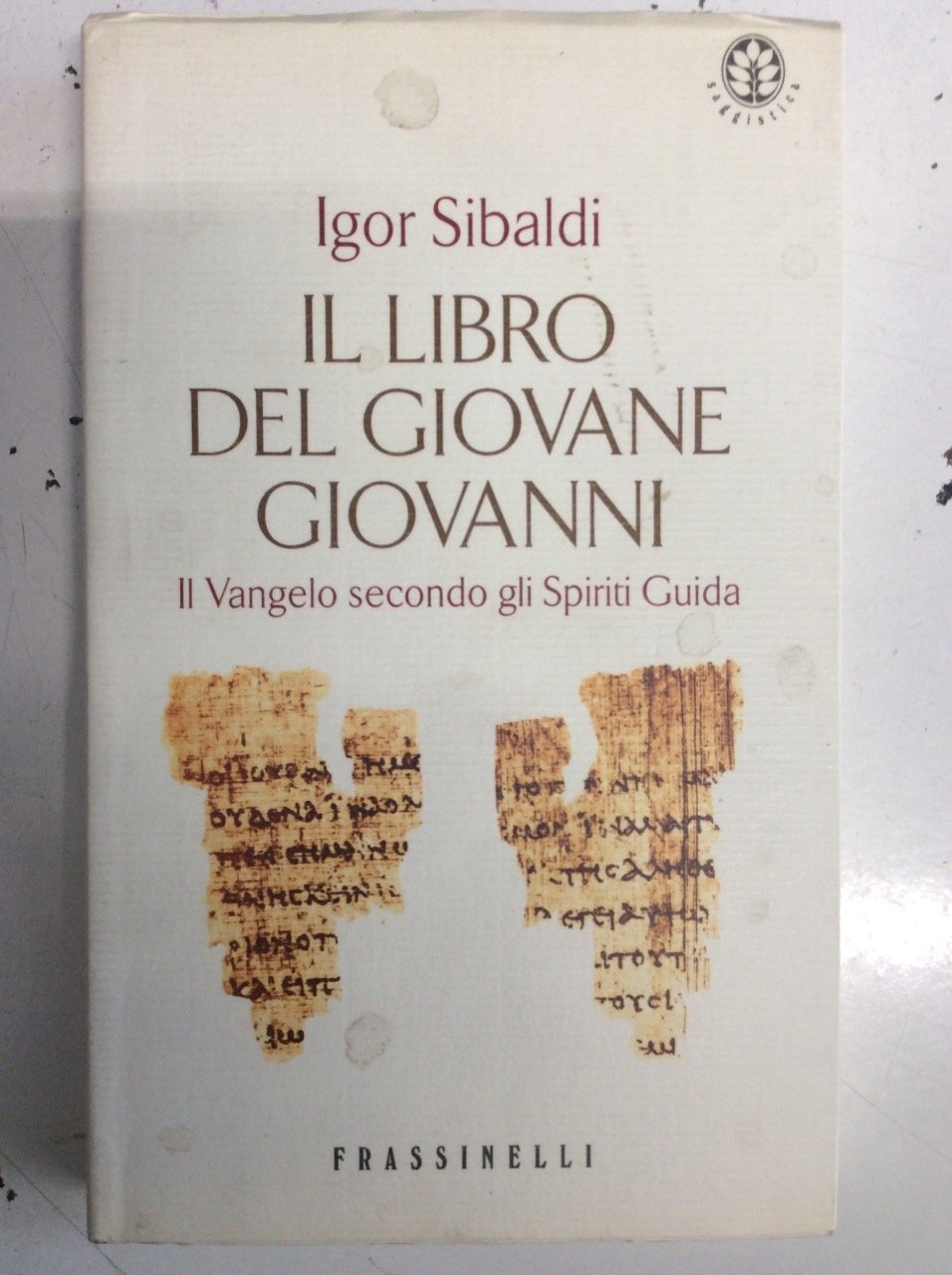 Il libro del giovane Giovanni. Il Vangelo secondo gli Spiriti Guida Religion & Esotericism
