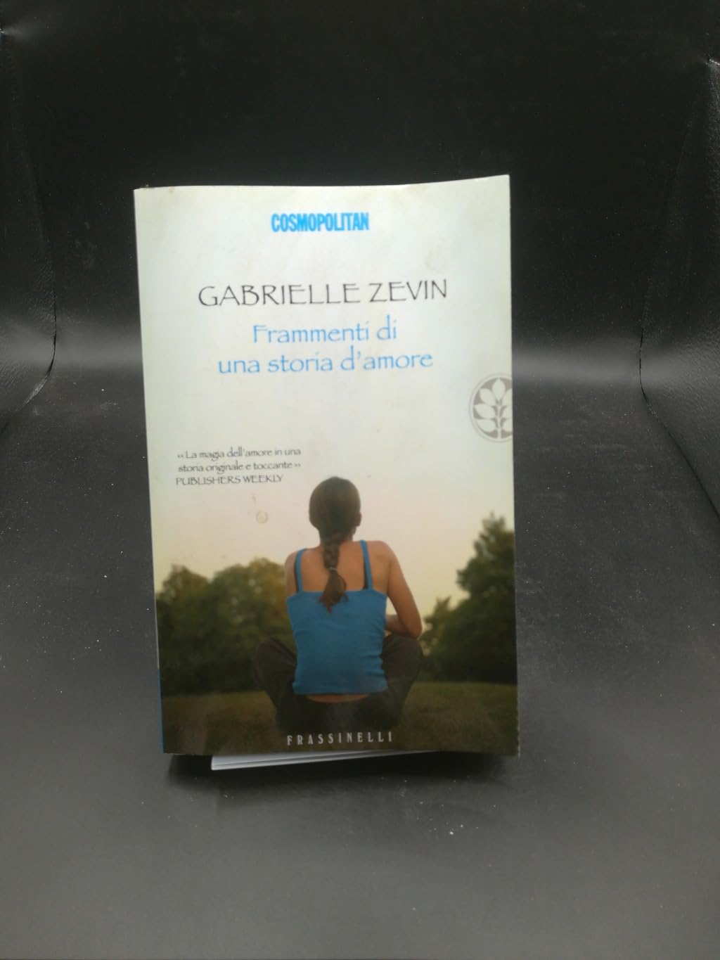 Frammenti di una storia d'amore (Frassinelli narrativa straniera) Contemporary literature