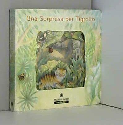Una sorpresa per Tigrotto (Finestre magiche per contare) Books