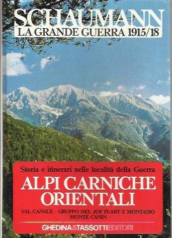 La grande guerra 1915-18. Alpi carniche orientali (Vol. 5) book