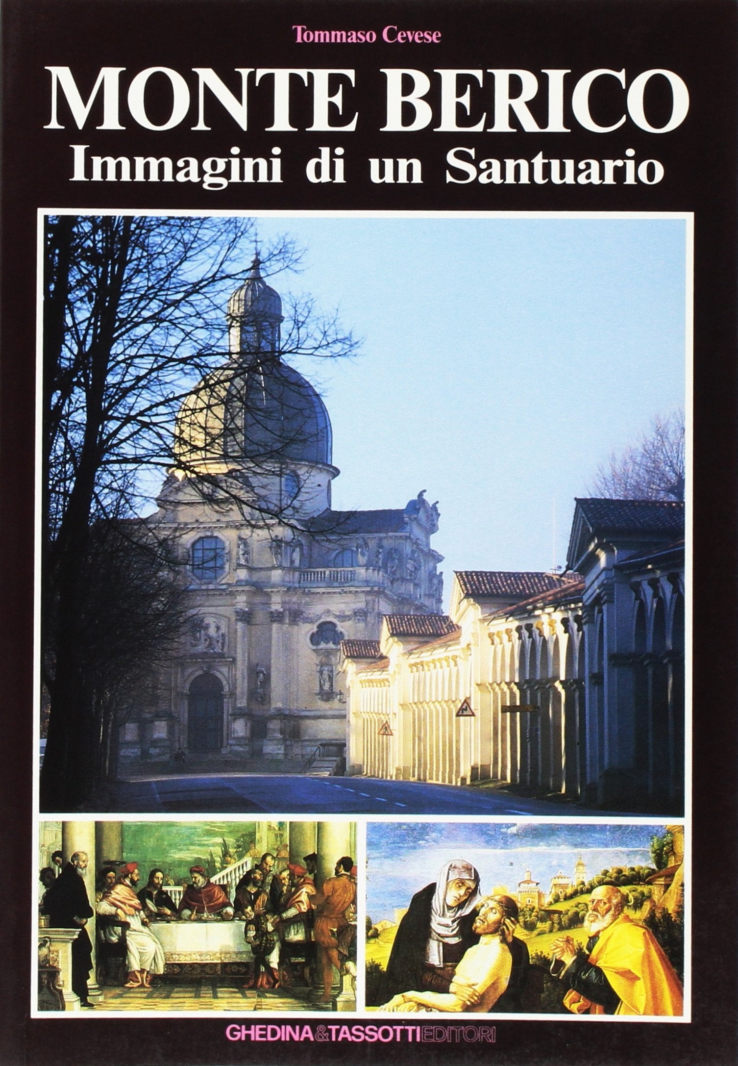 Monte Berico. Immagini di un santuario book