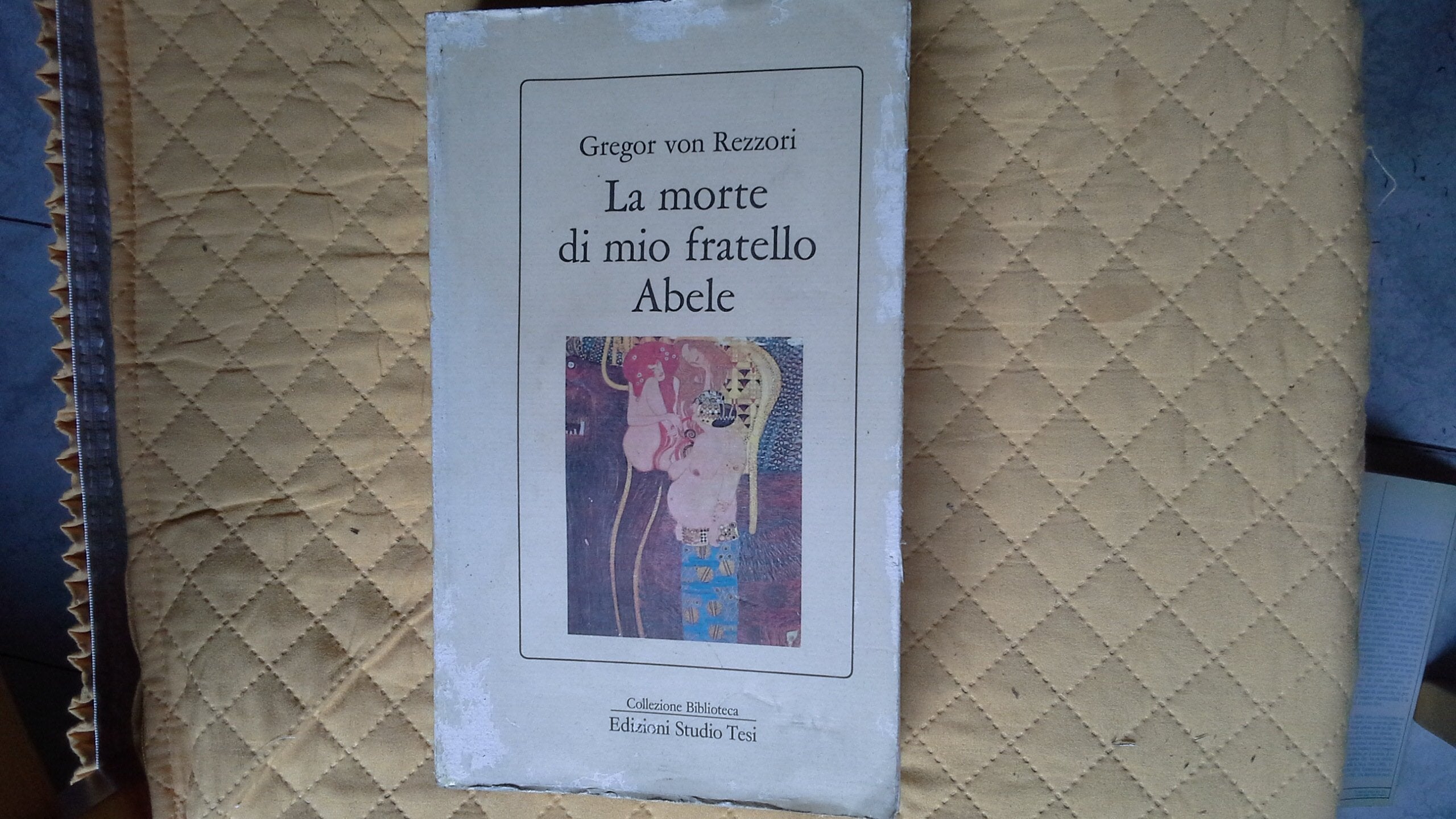 La morte di mio fratello Abele book