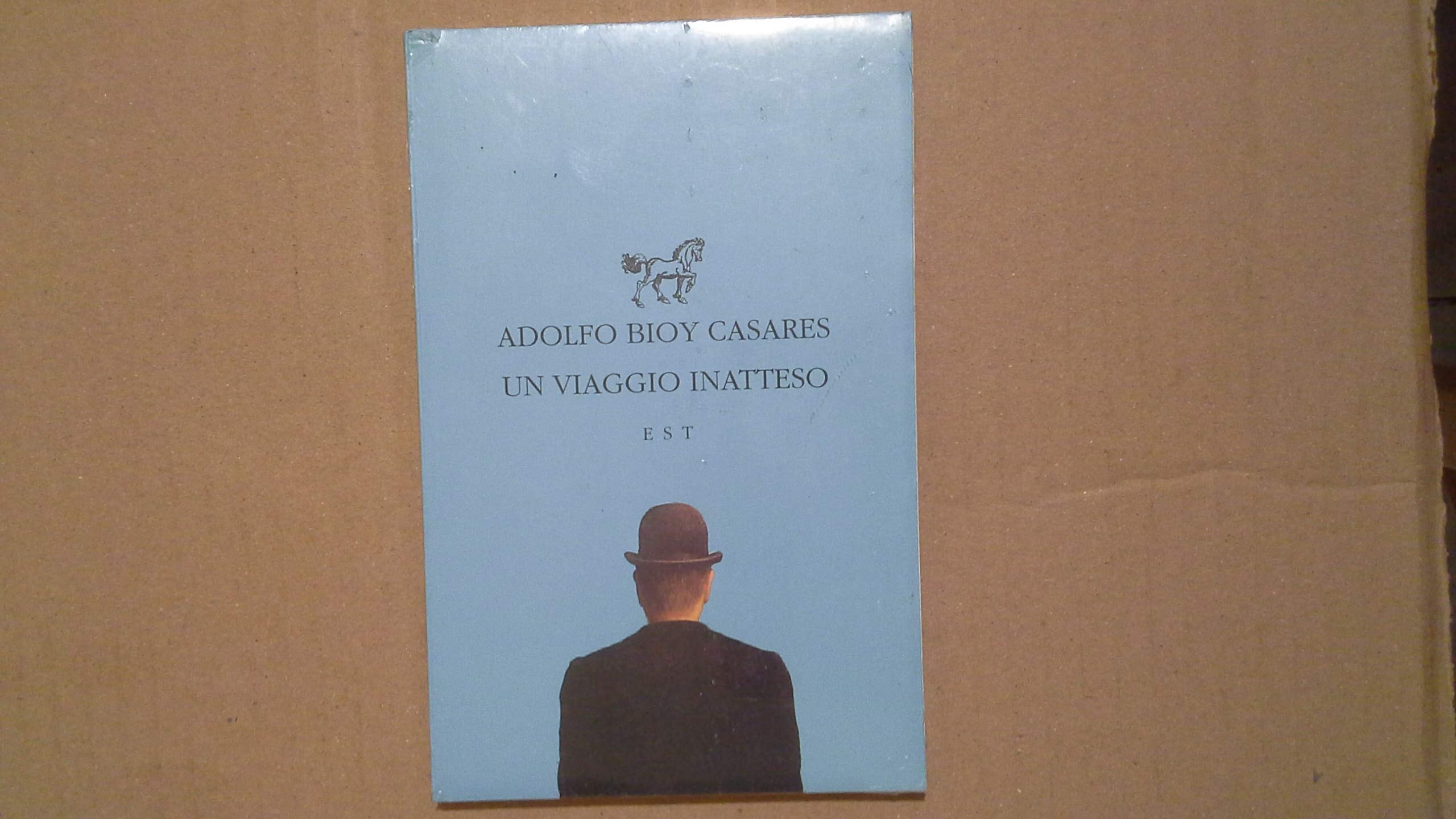 Un viaggio inatteso book