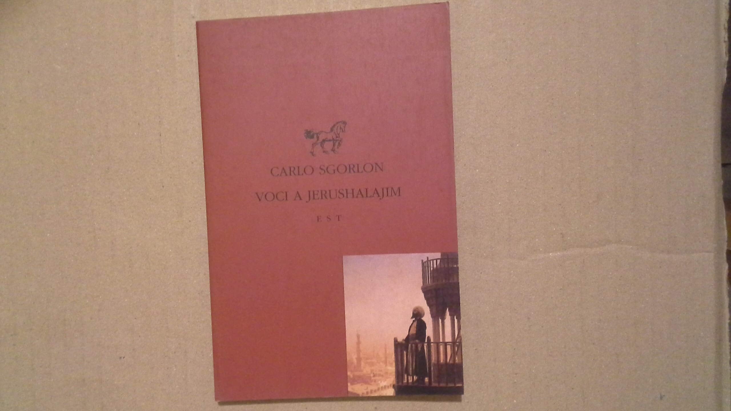 Voci a Jerushalajim (Piccola biblioteca universale) Contemporary literature