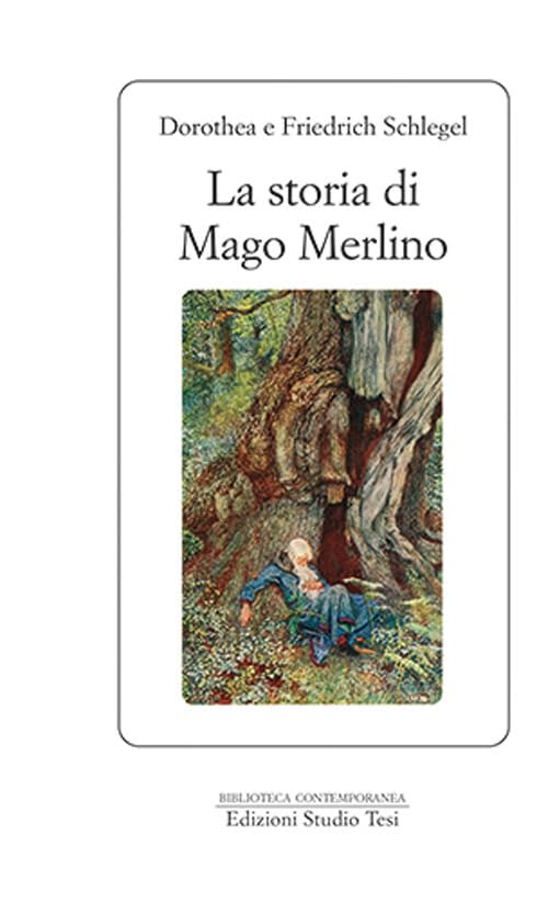 La storia del mago Merlino book