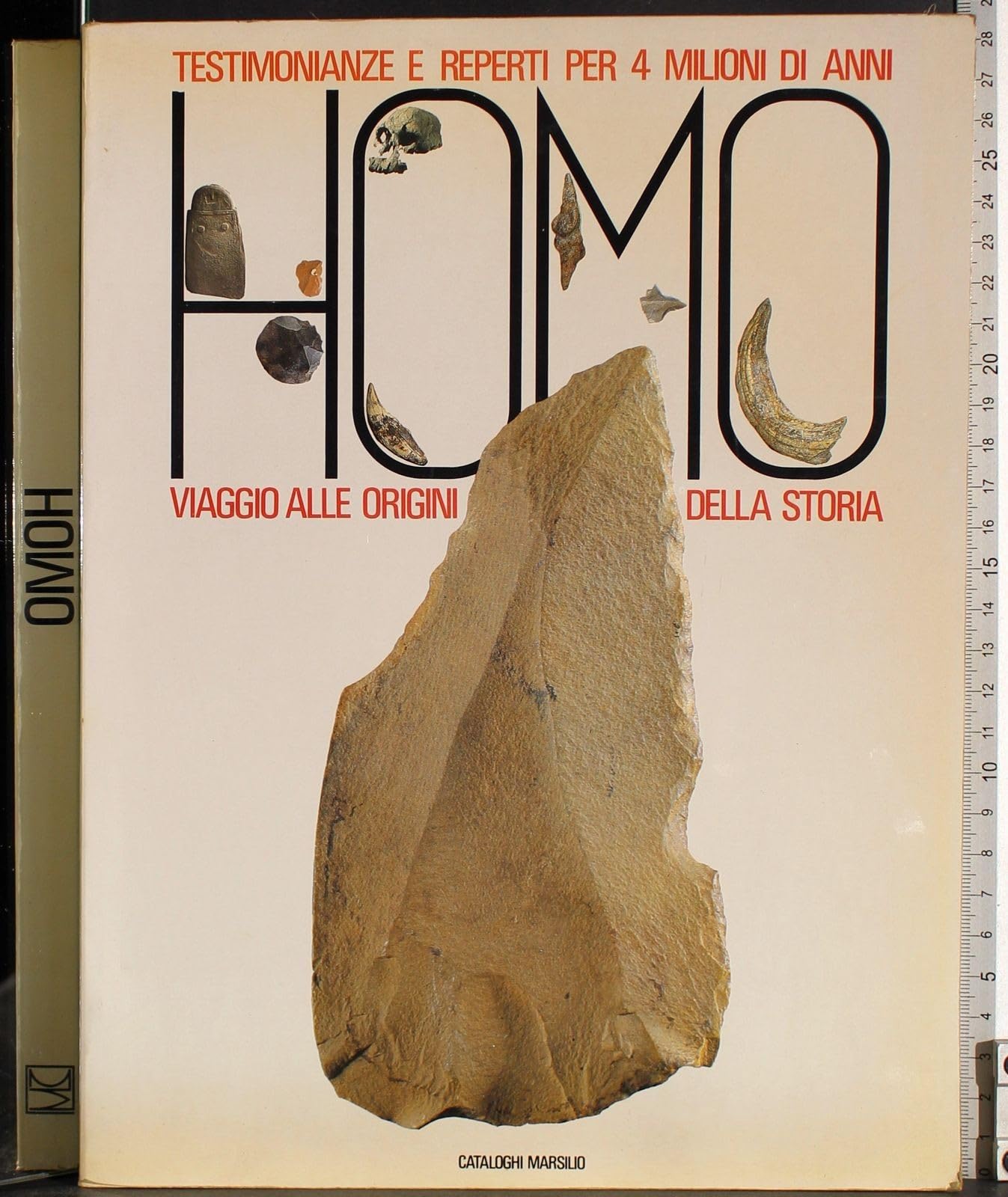 Homo. Testimonianze e reperti per 4 milioni di anni. Viaggio alle origini della storia book