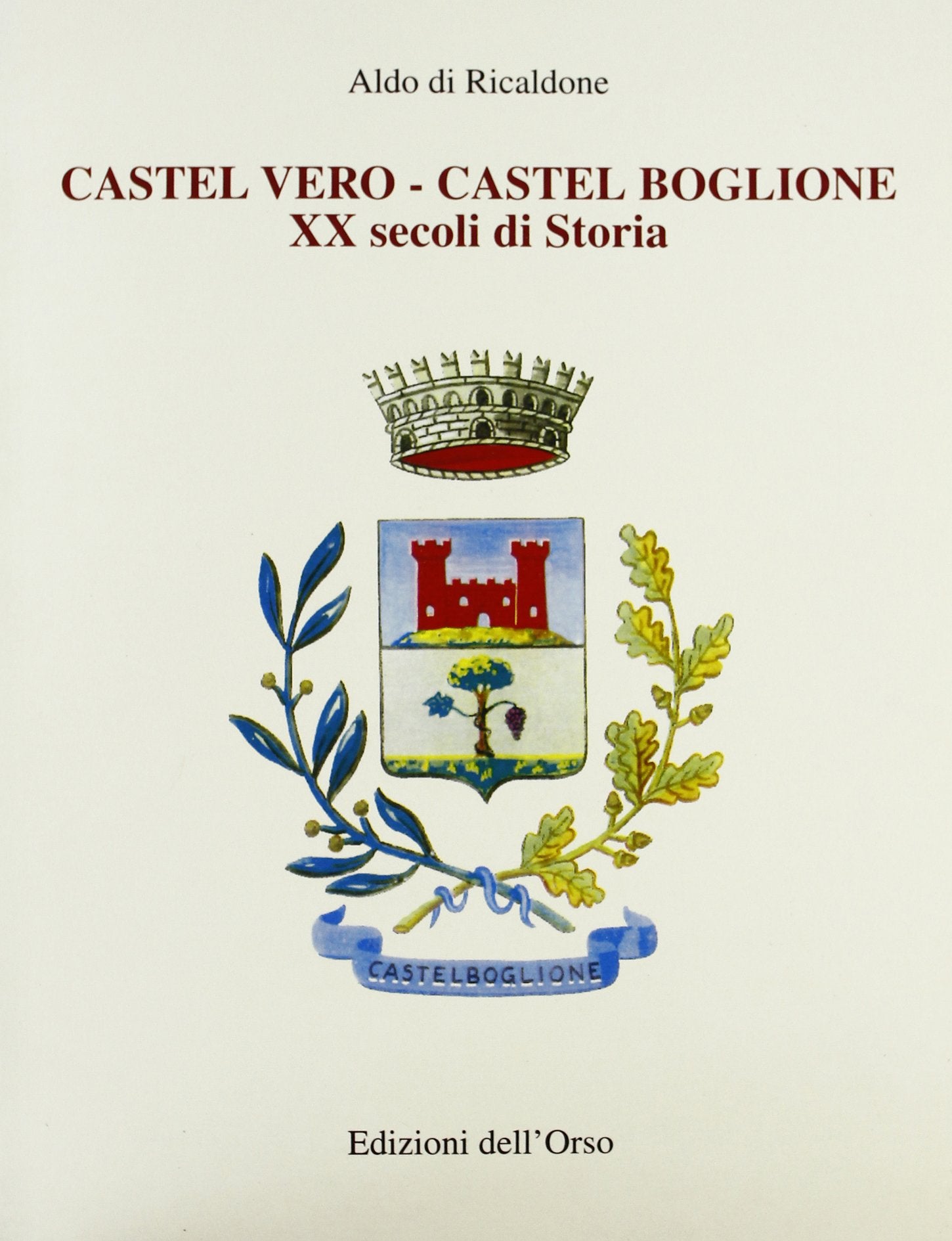 Castel Vero Castel Boglione. Dall'età ligure al XX secolo book