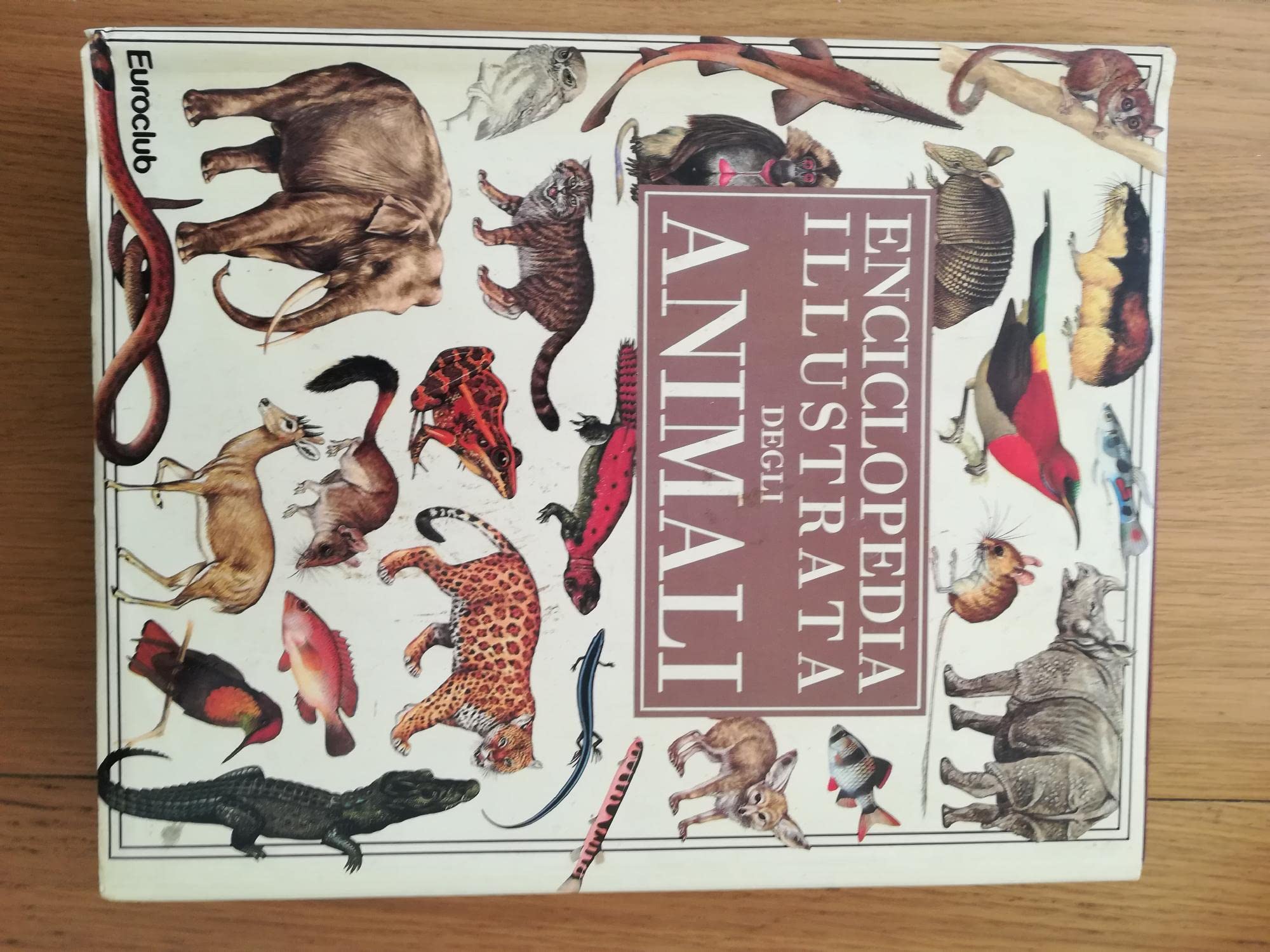 Enciclopedia illustrata degli animali book