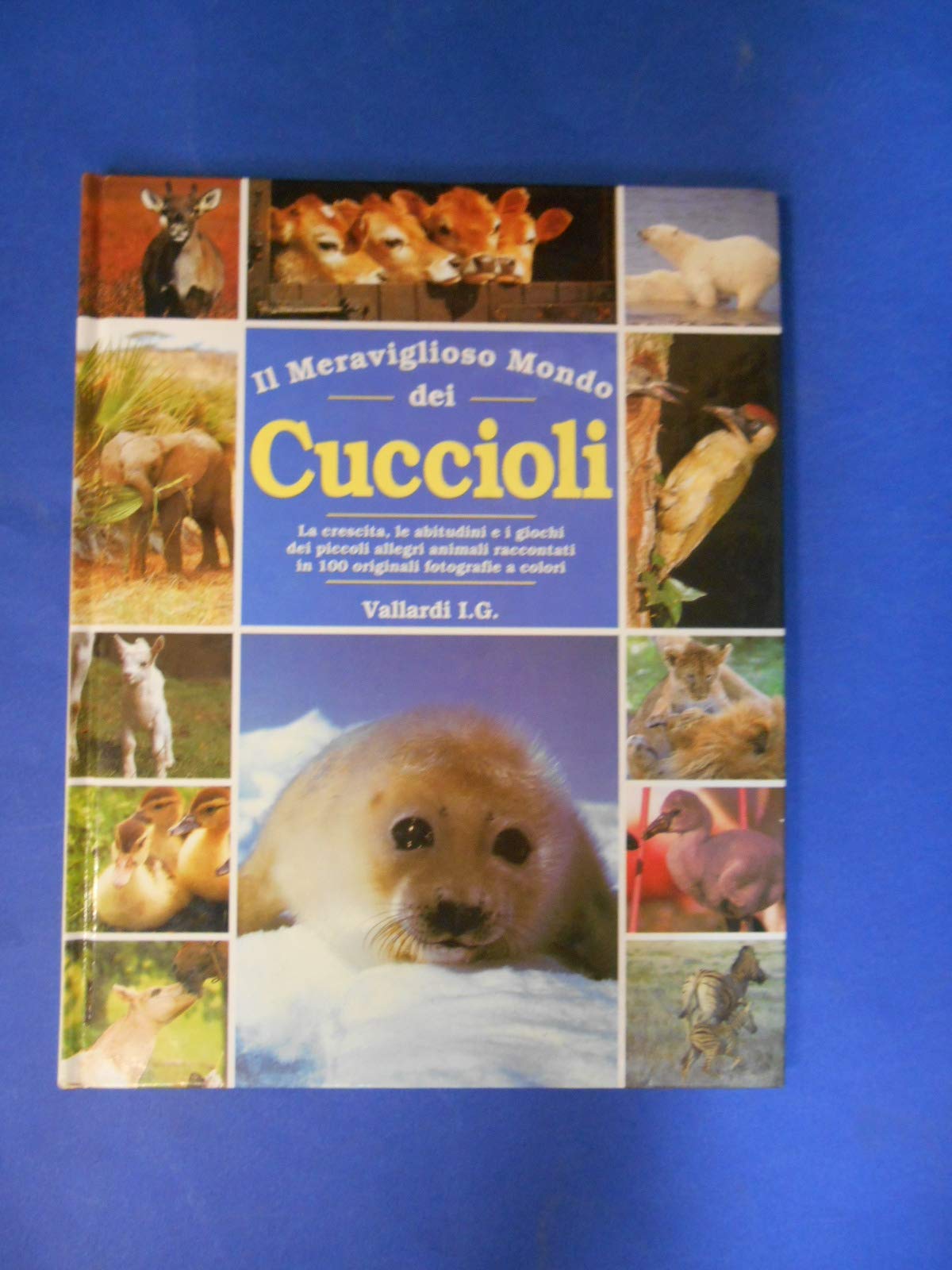 Il meraviglioso mondo dei cuccioli Leisure, Home & Garden