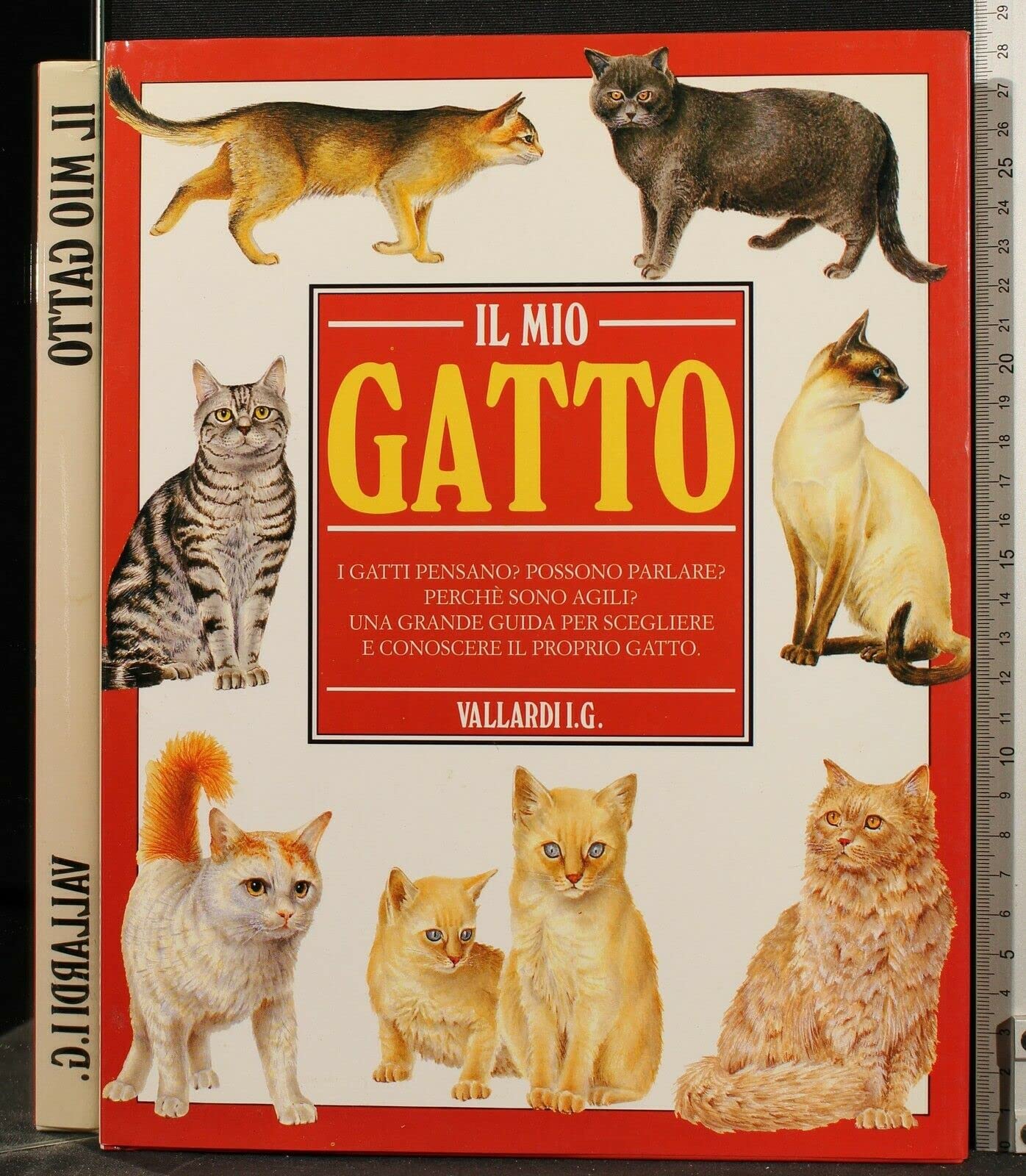 Il mio gatto Books about Pets