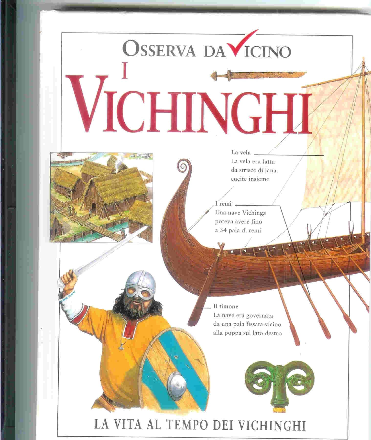 I vichinghi book