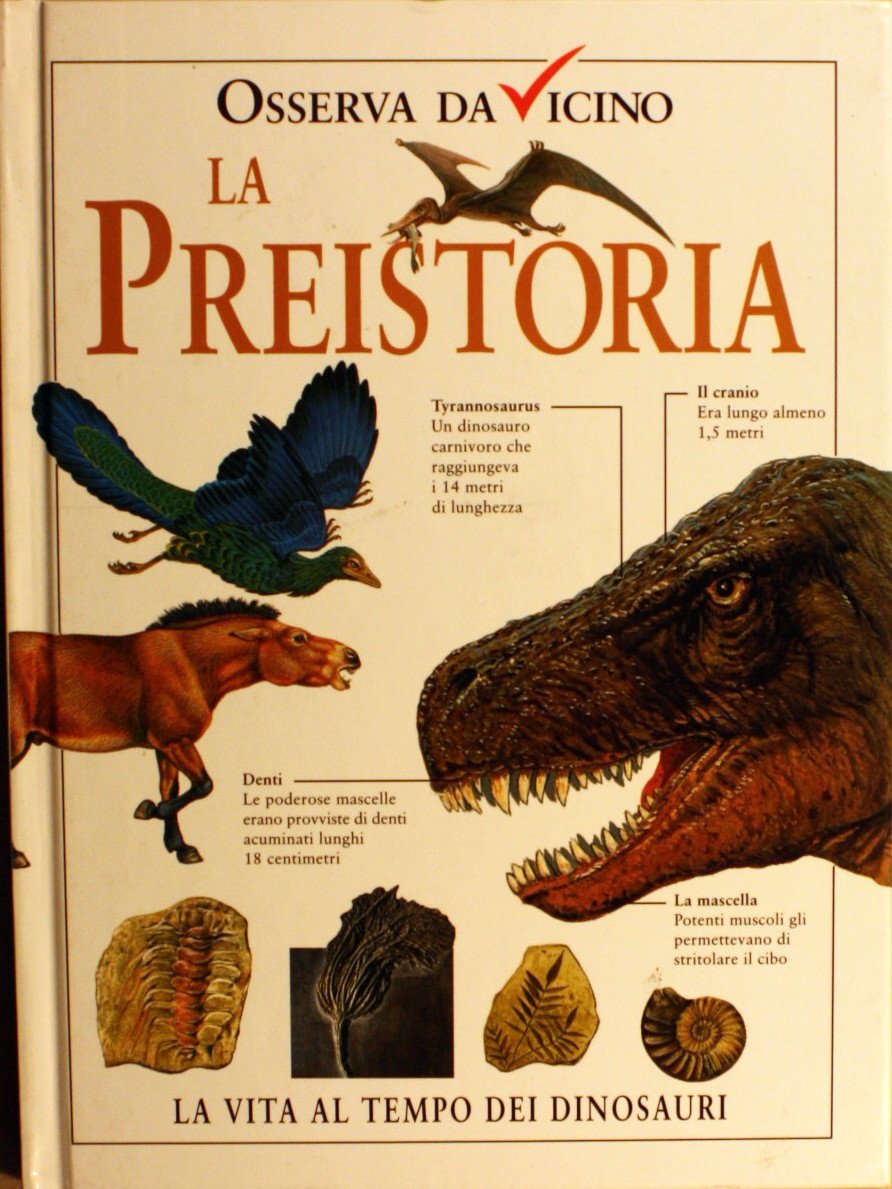 Osserva da vicino la preistoria. Ediz. illustrata book