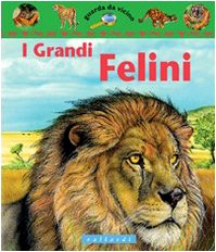 I grandi felini book