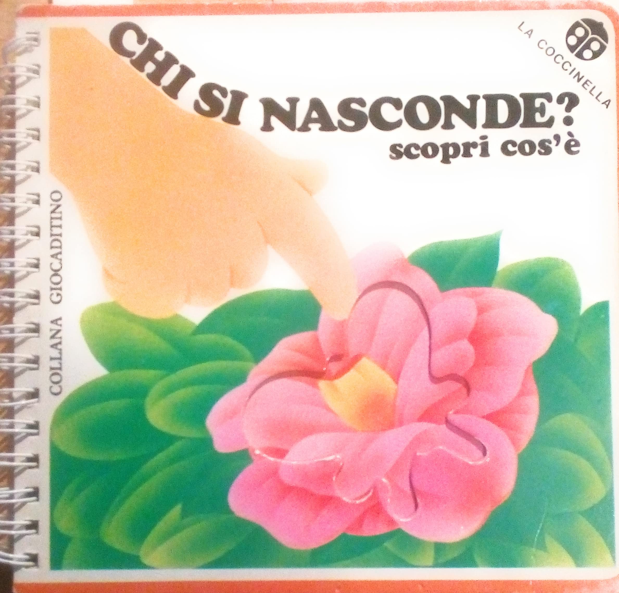 Chi si nasconde? (Giocaditino) Non-fiction