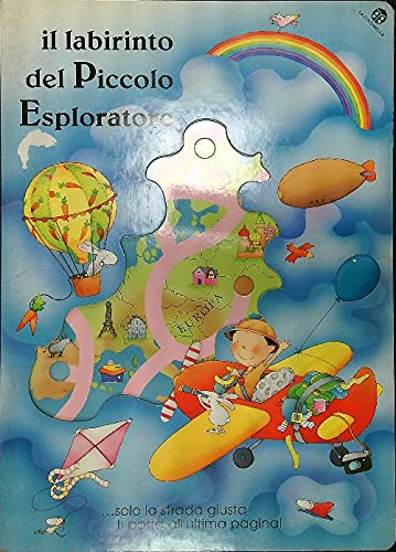 Il labirinto del piccolo esploratore book