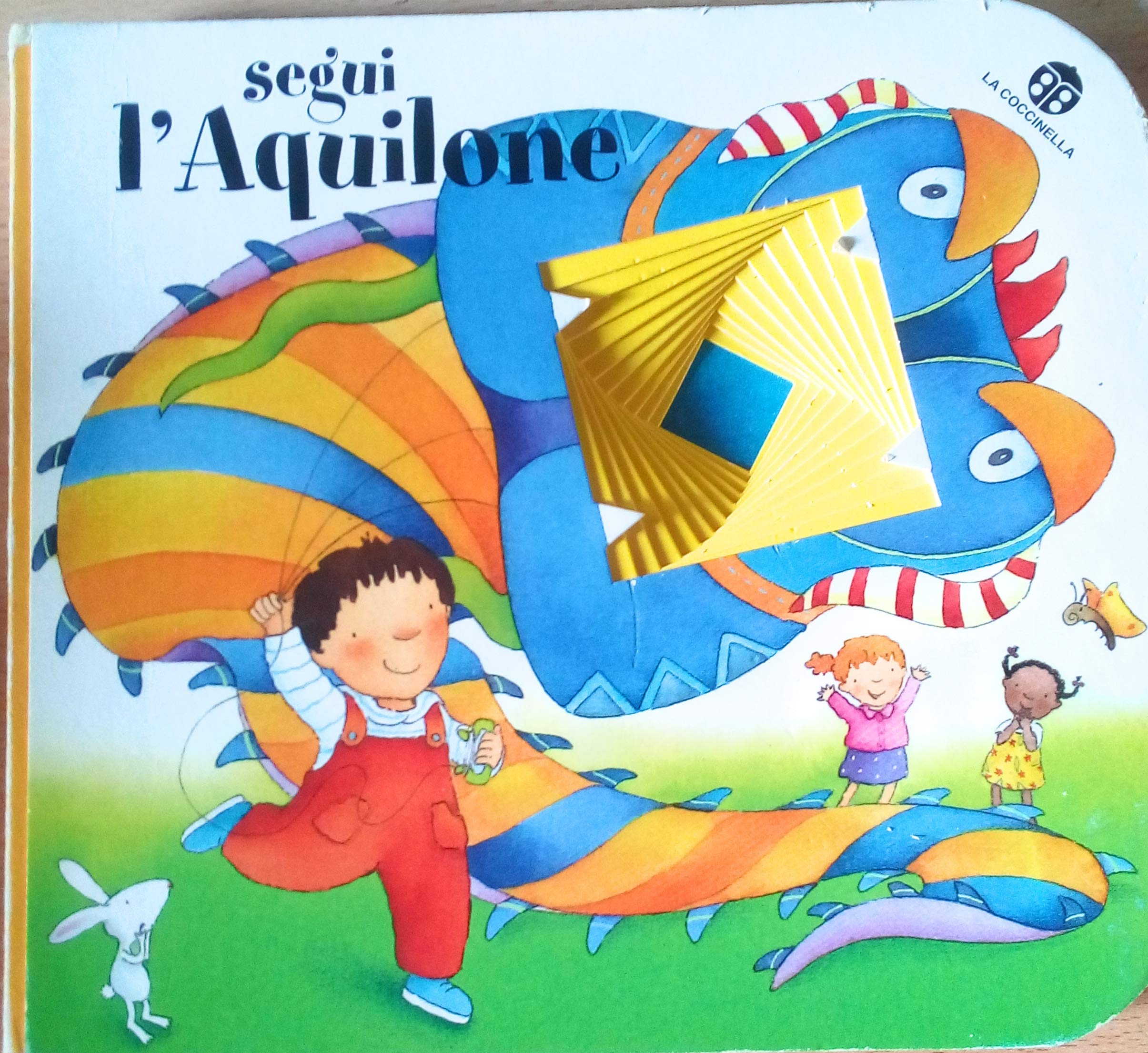 Segui l'aquilone. Ediz. illustrata book