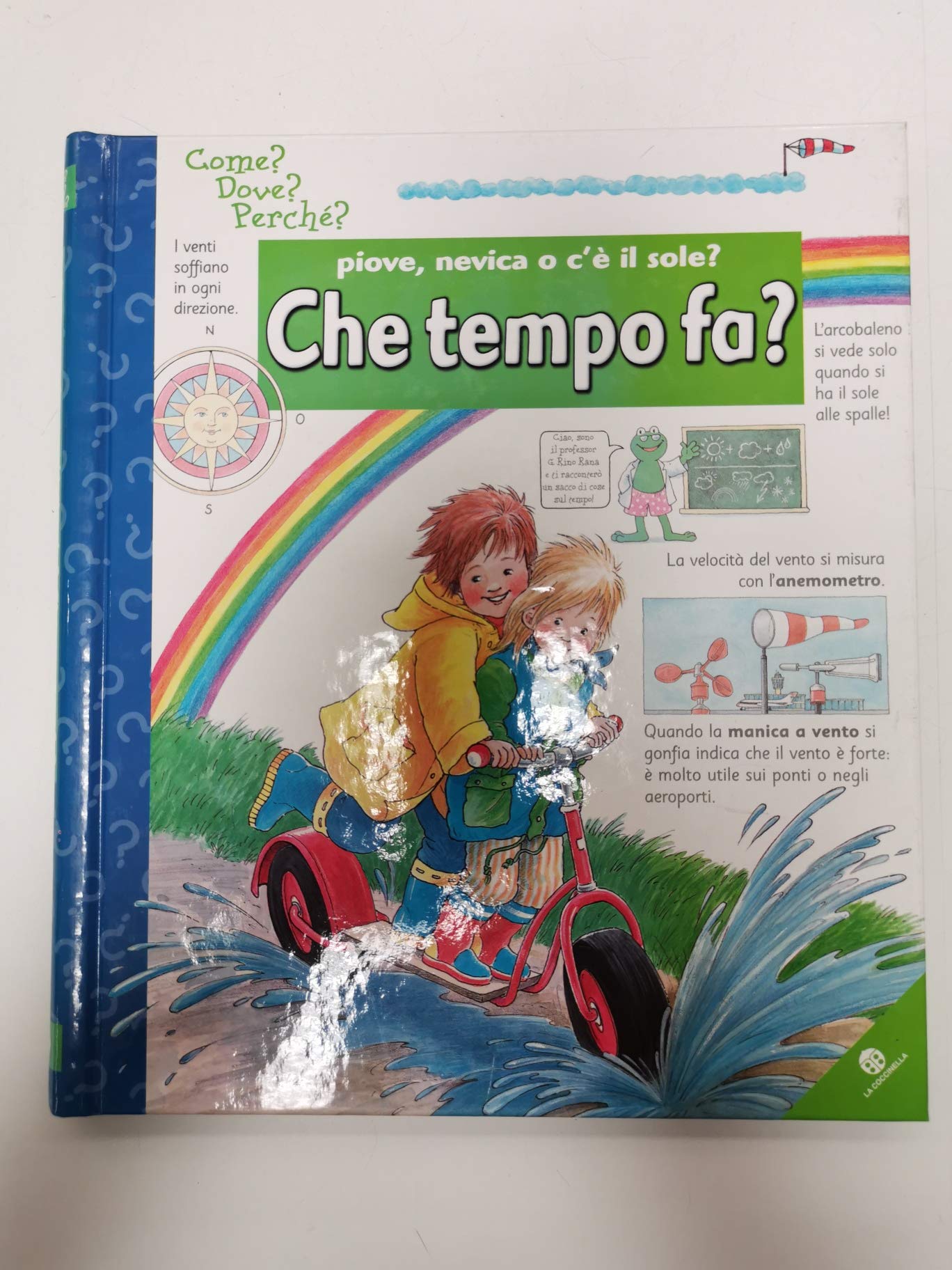 Piove, nevica o c'è il sole? Che tempo fa? (Come? Dove? Perché?) Children's books