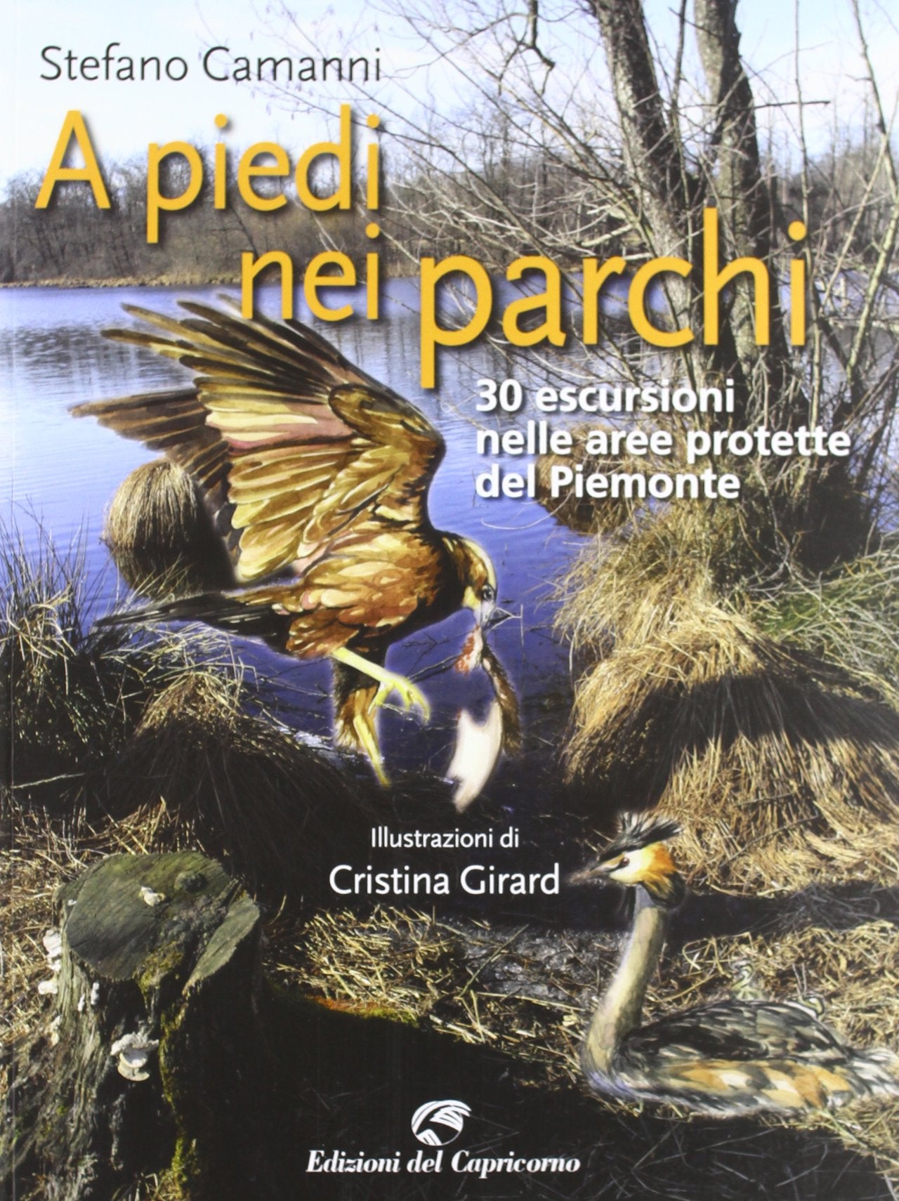 A piedi nei parchi. 30 escursioni nelle aree protette del Piemonte Leisure, Home & Garden