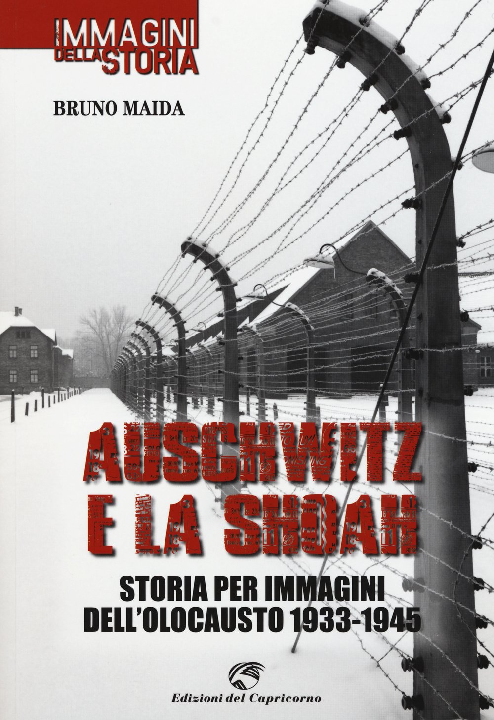 Auschwitz e la Shoah. Storia per immagini dell'olocausto (1933-1945). Ediz. illustrata book
