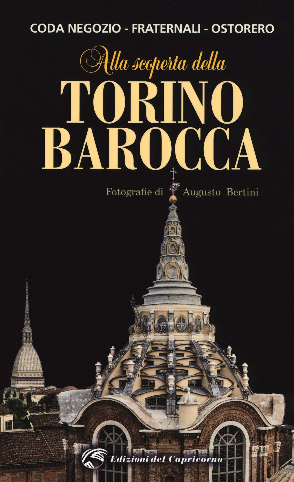 Alla scoperta della Torino barocca book