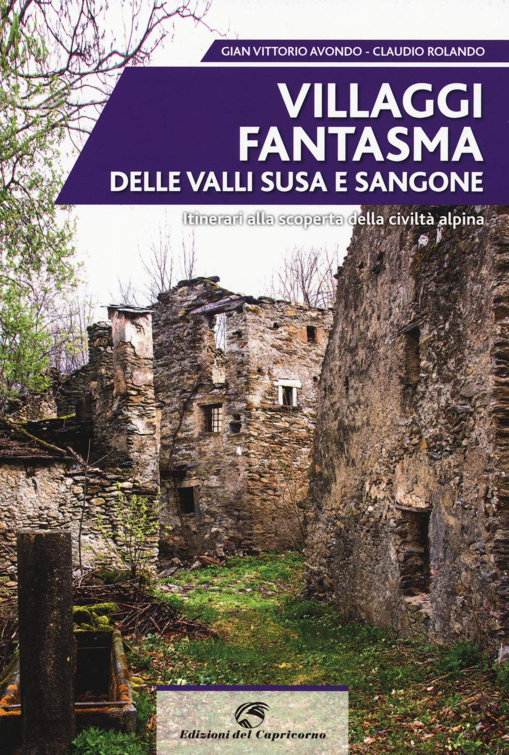 Villaggi fantasma delle valli Susa e Sangone. Itinerari alla scoperta della civiltà alpina book