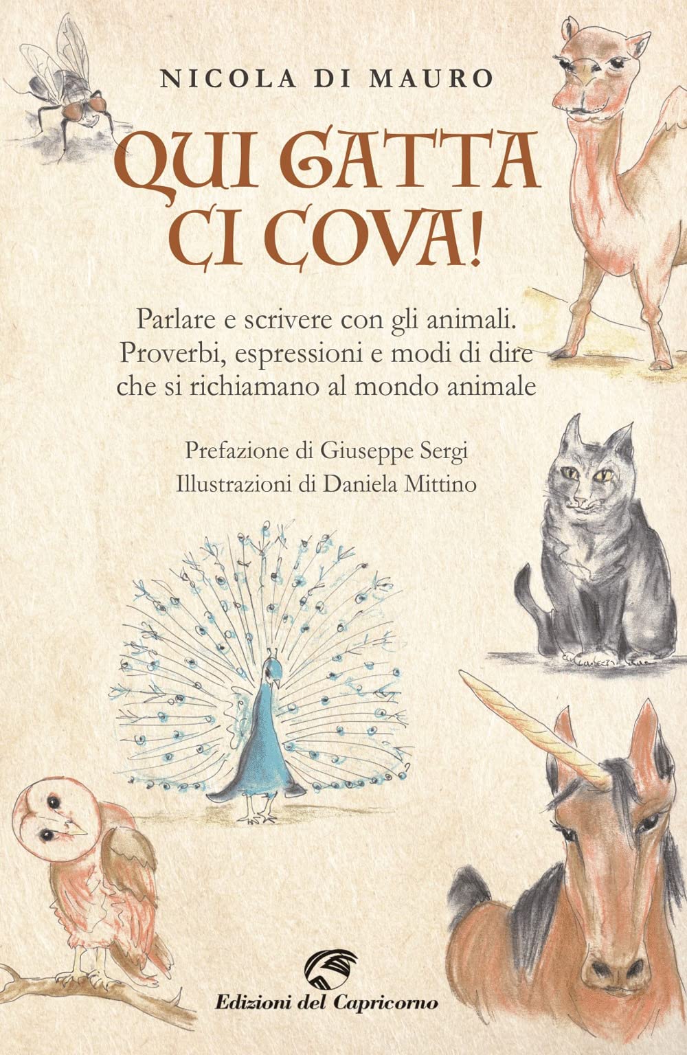 Qui gatta ci cova! Parlare e scrivere con gli animali. Proverbi, espressioni e modi di dire che si richiamano al mondo animale book