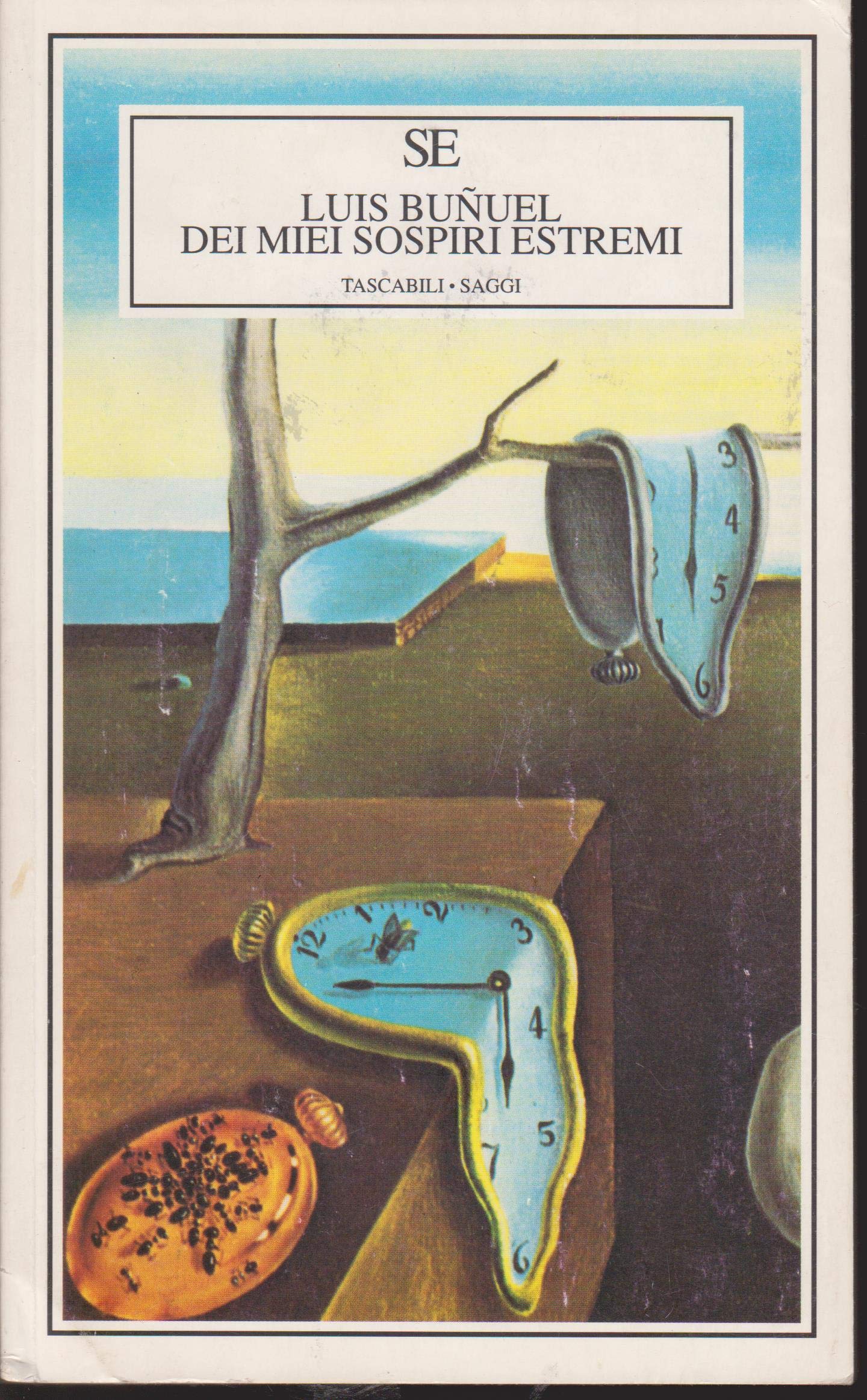 Dei miei sospiri estremi (Tascabili) Art & Literature