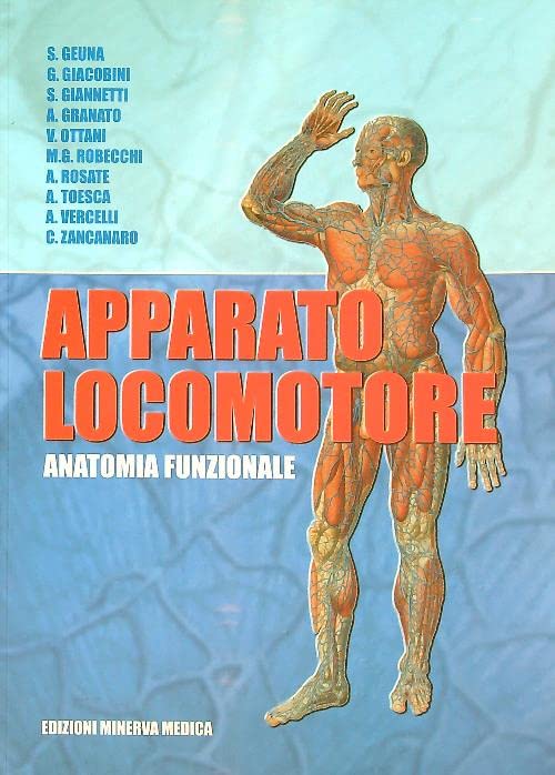 Apparato locomotore. Anatomia funzionale book