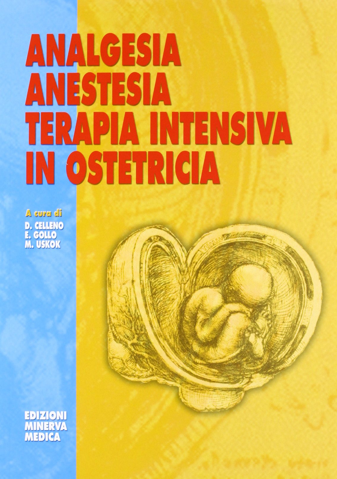 Analgesia, anestesia, terapia intensiva in ostetricia (Specialità mediche) Medicine