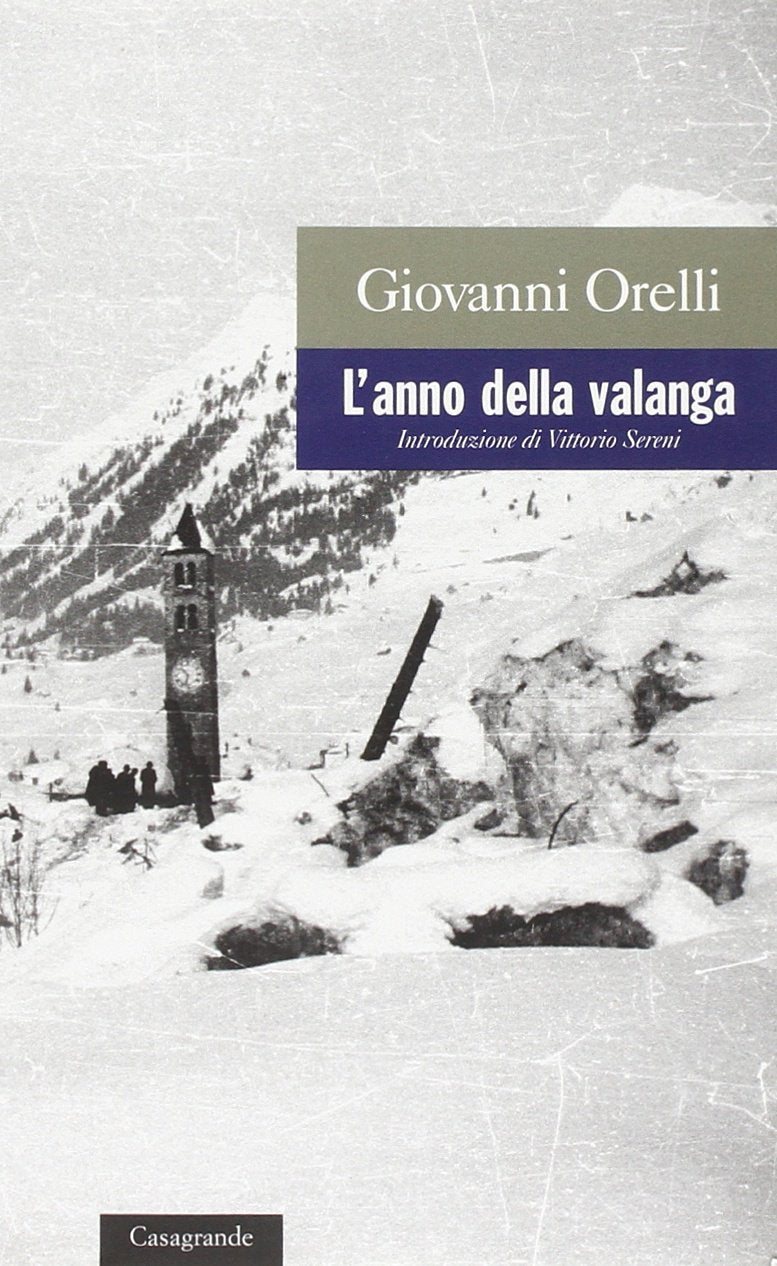 L'anno della valanga (La salamandra) Contemporary literature