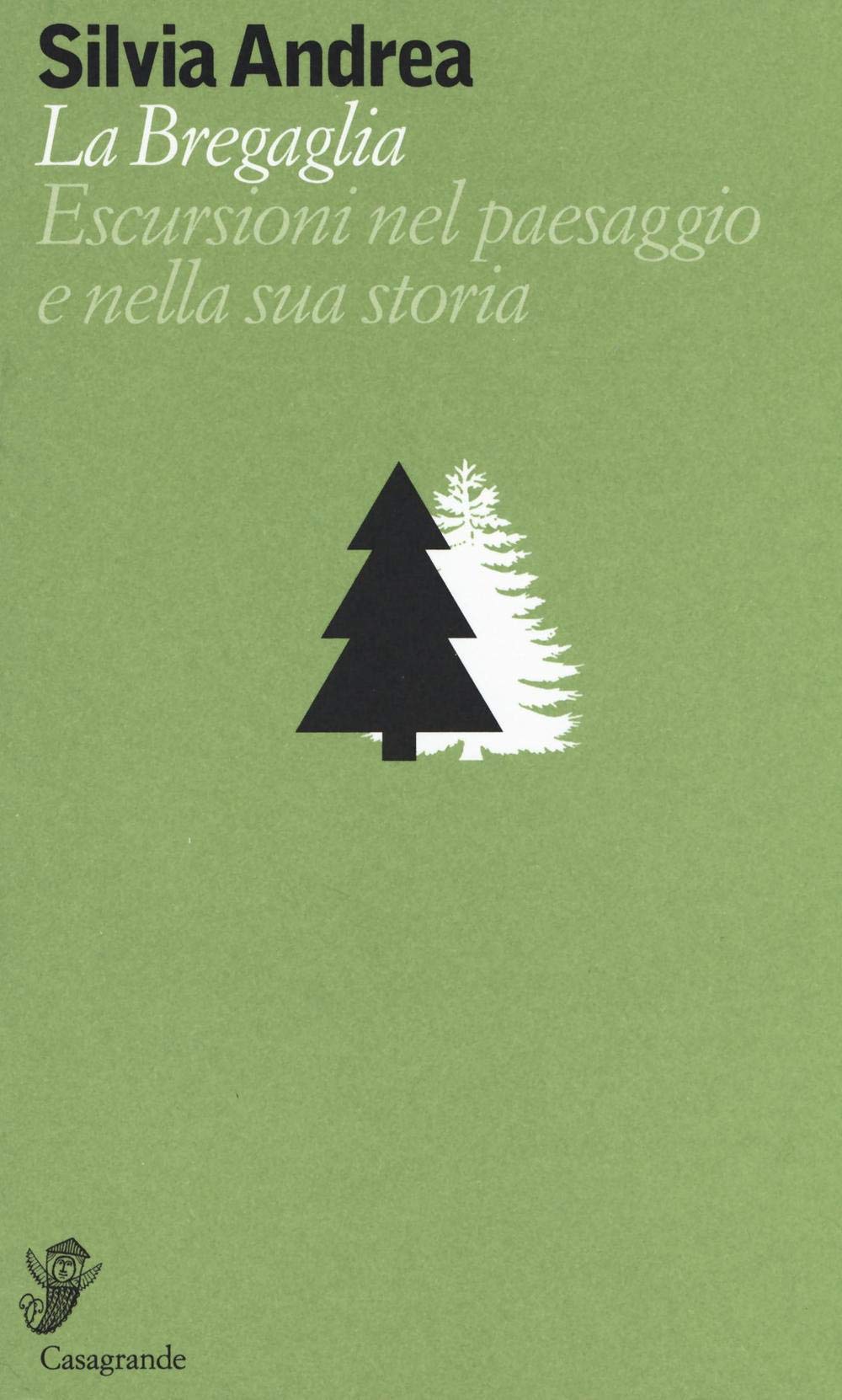 La Bregaglia. Escursioni nel paesaggio e nella sua storia book