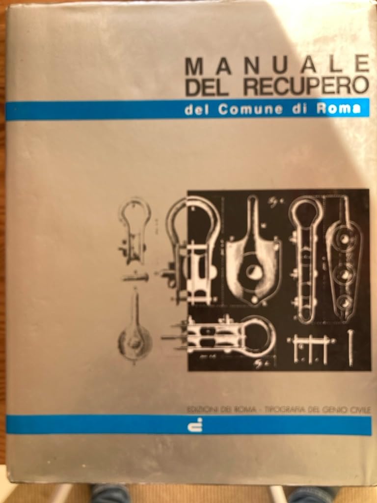 Manuale del recupero del Comune di Roma (Manuali per l'edilizia) Politics & History