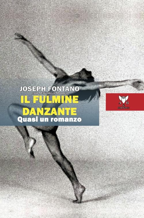 Il fulmine danzante. Quasi un romanzo book