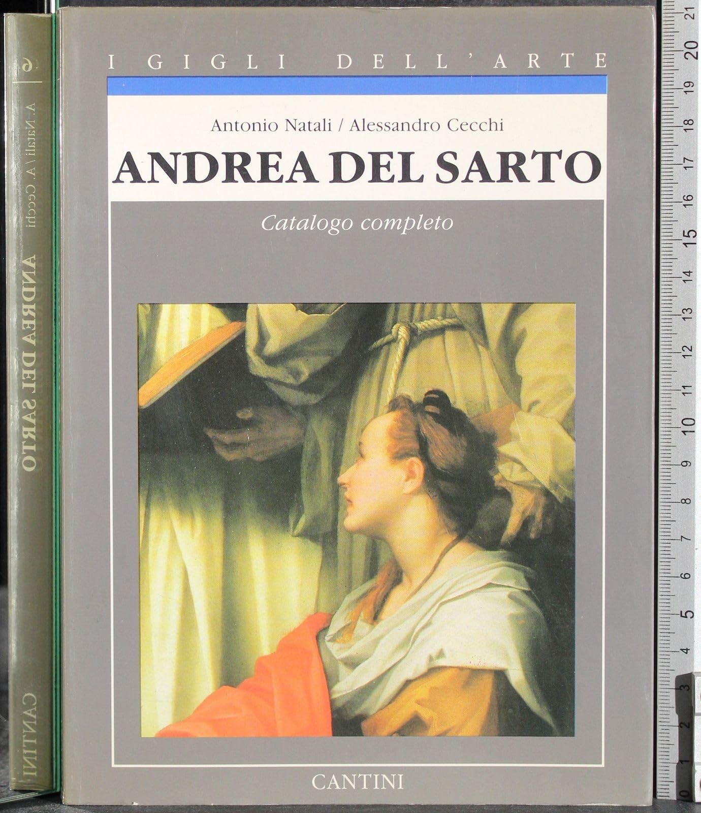 Andrea del Sarto (Igigli Dell'Arte) (Volume 6) Books