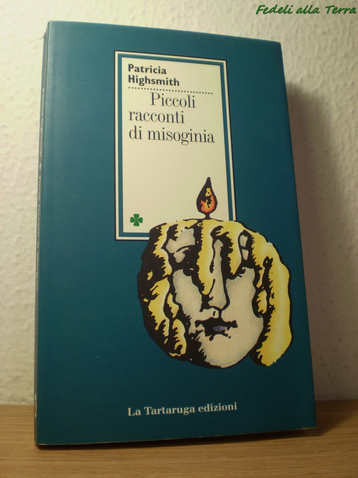 Piccoli racconti di misoginia book