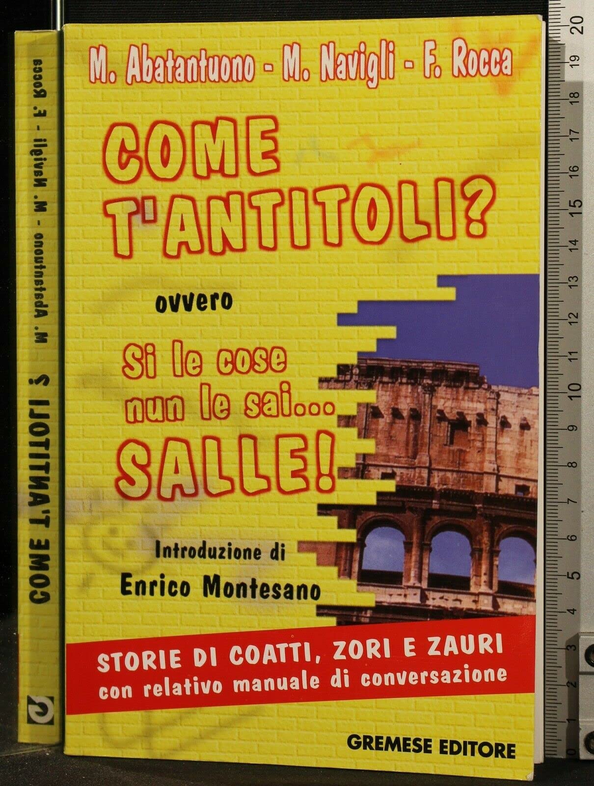 Come t'antitoli? Ovvero si le cose nun le sai... Salle! (I flap) Contemporary literature