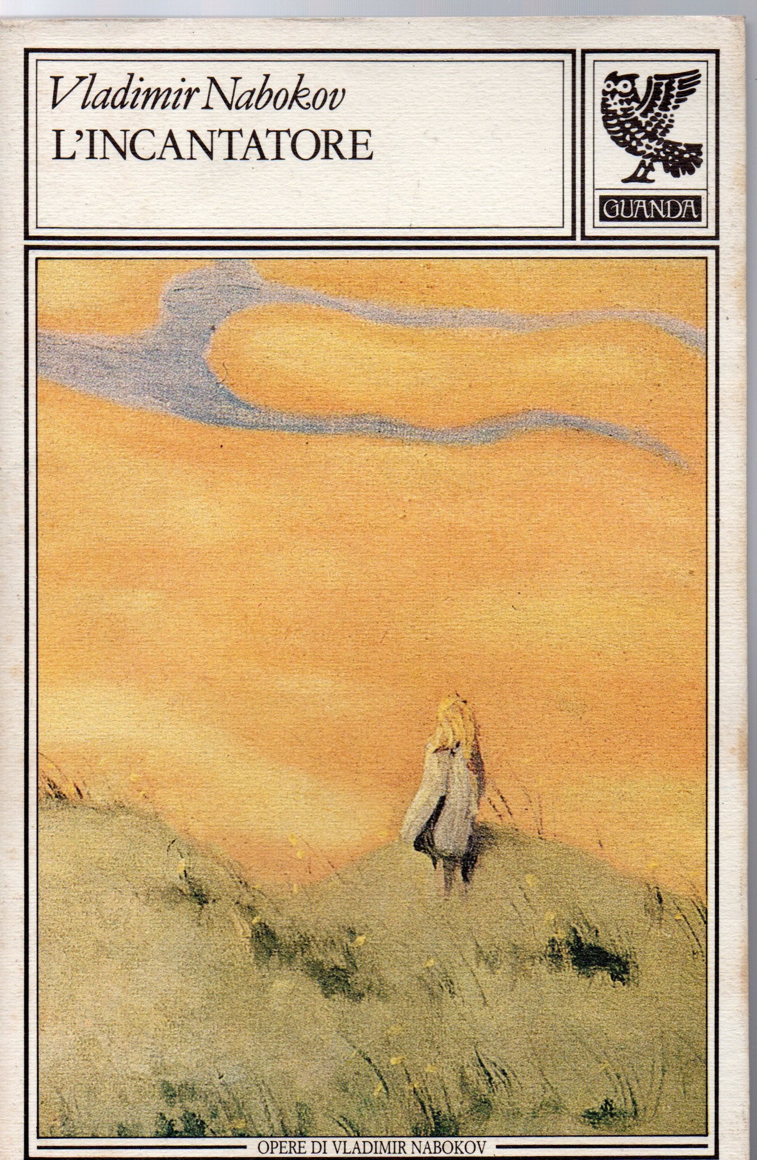 L'incantatore book