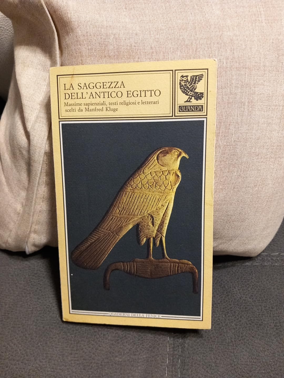 La saggezza dell'antico Egitto. Massime sapienzali, testi religiosi e letterari book