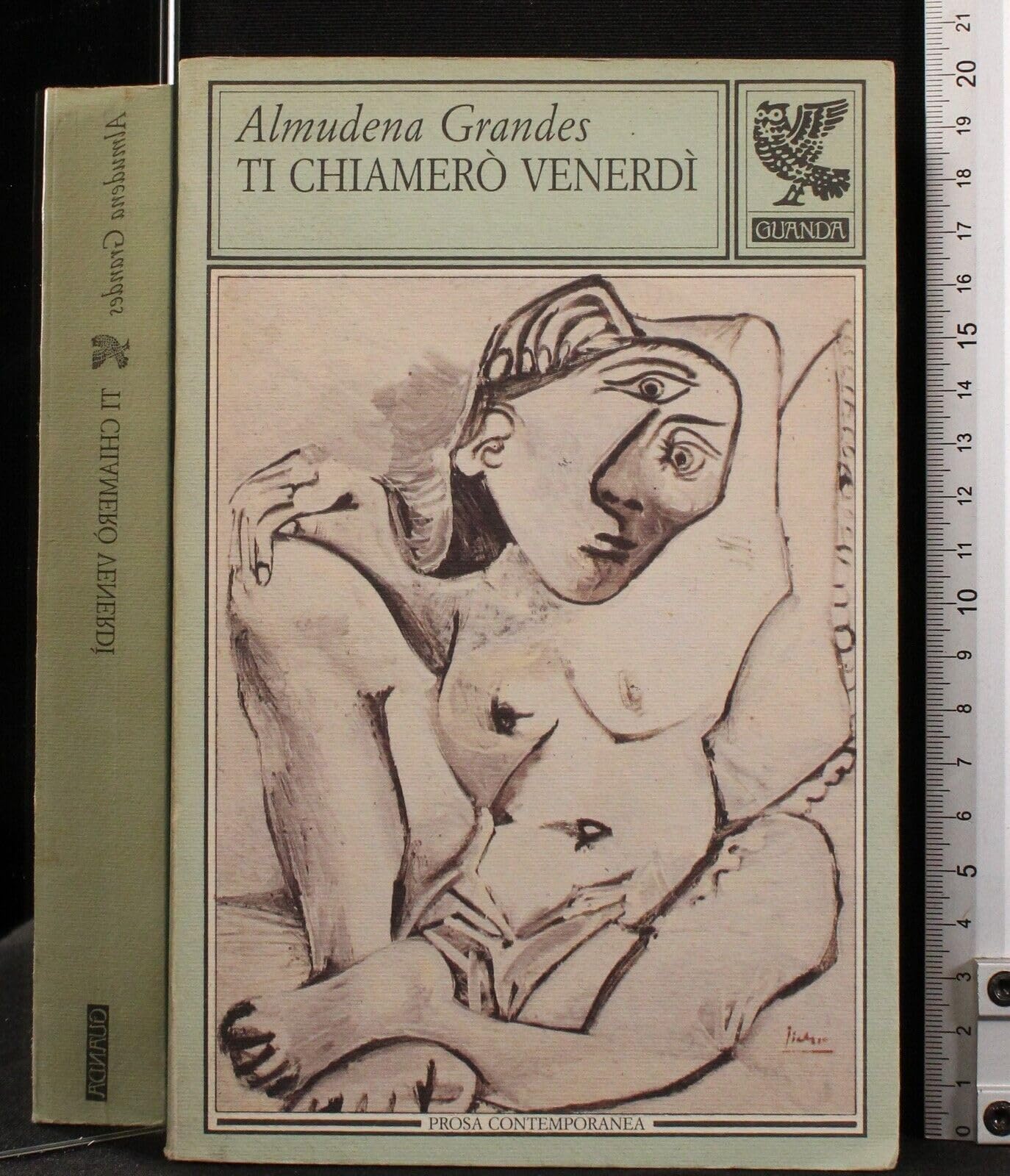 Ti chiamerò Venerdì book