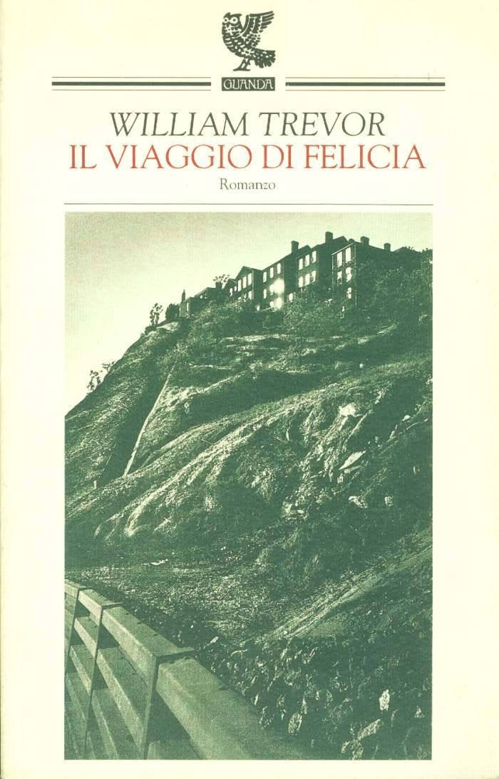 Il viaggio di Felicia book