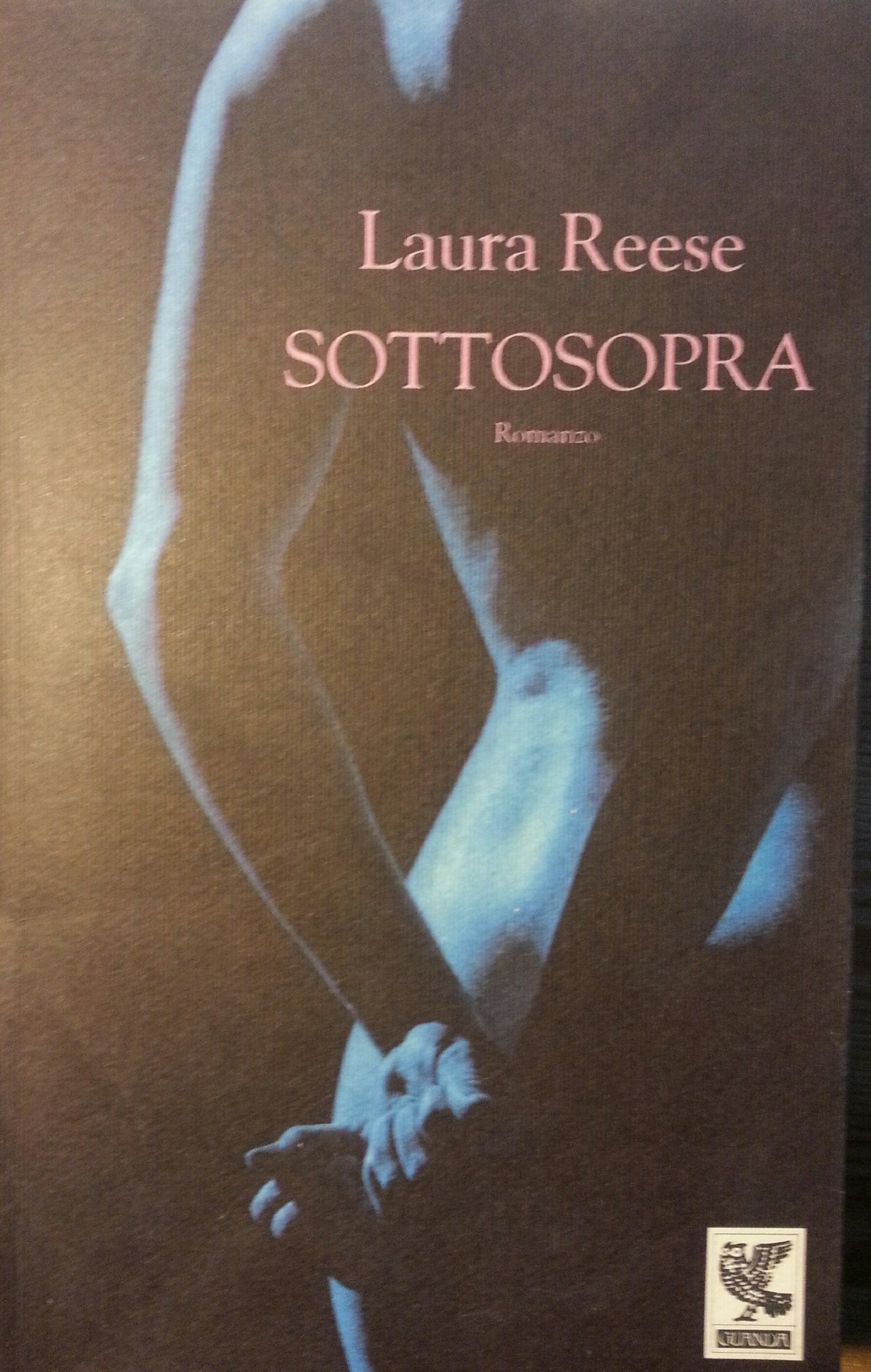 Sottosopra (Narratori della Fenice) Contemporary literature