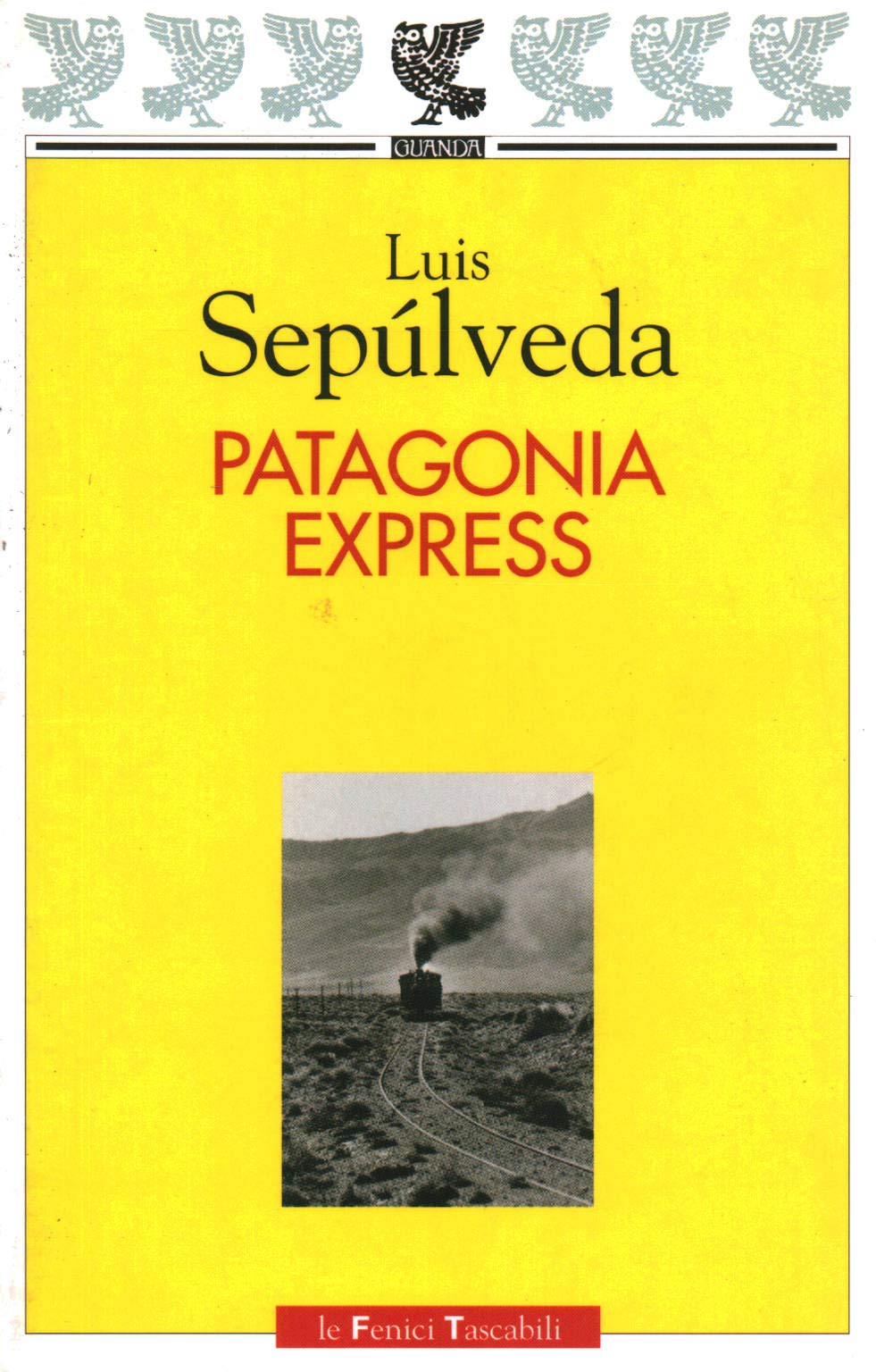 Patagonia express (Le Fenici tascabili) Leisure, Home & Garden