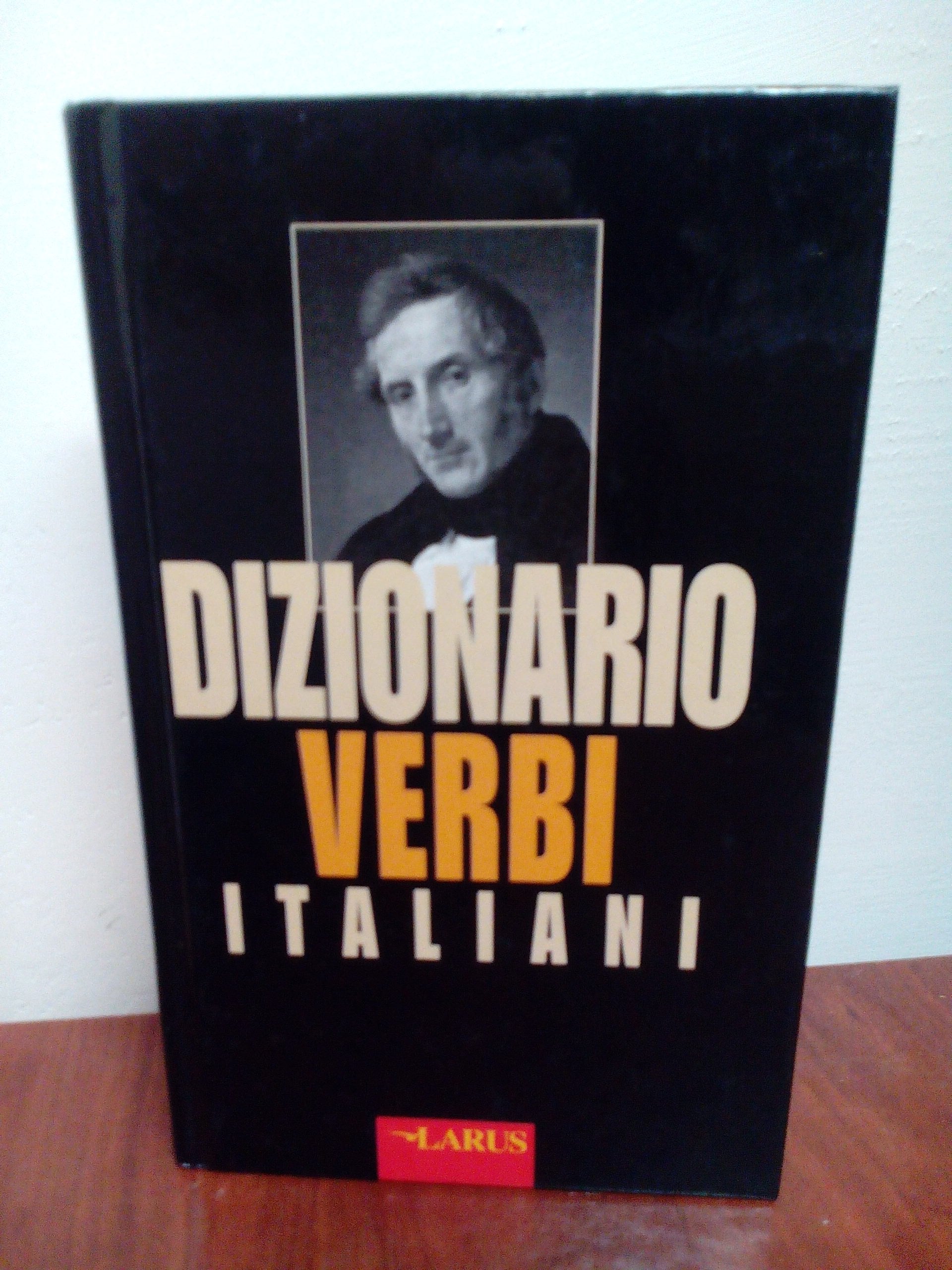 Dizionario verbi italiani book