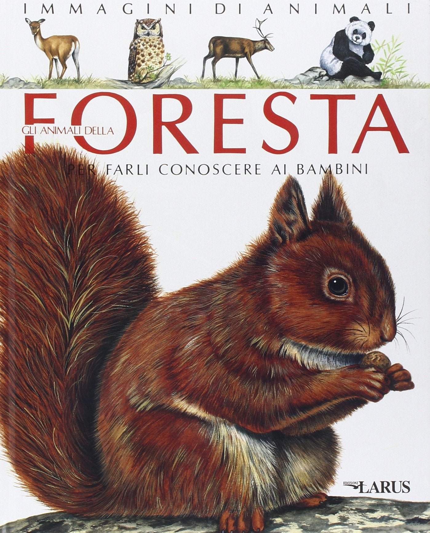 Gli animali della foresta (Immagini di animali) Non-fiction