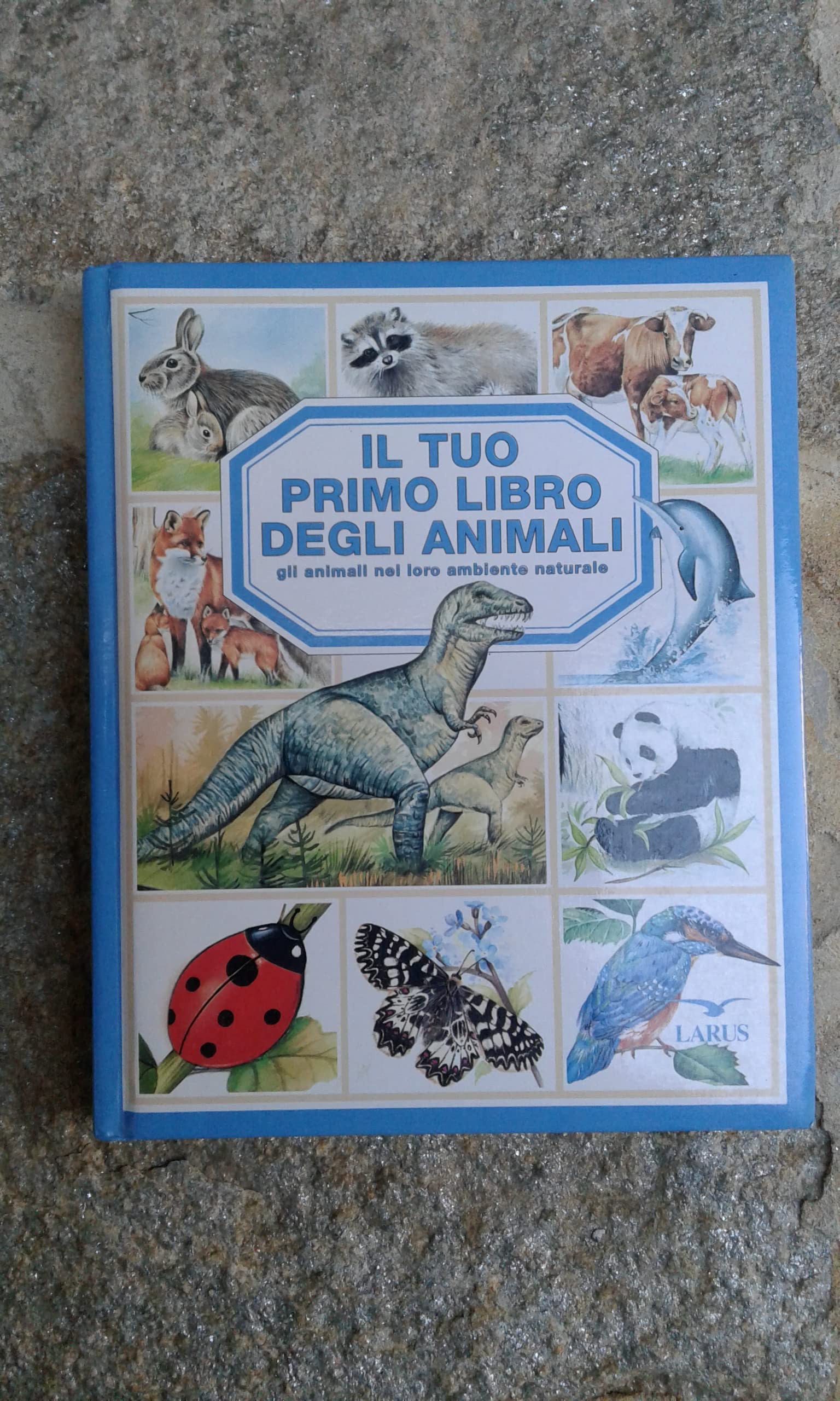 Il tuo primo libro degli animali. Ediz. illustrata book