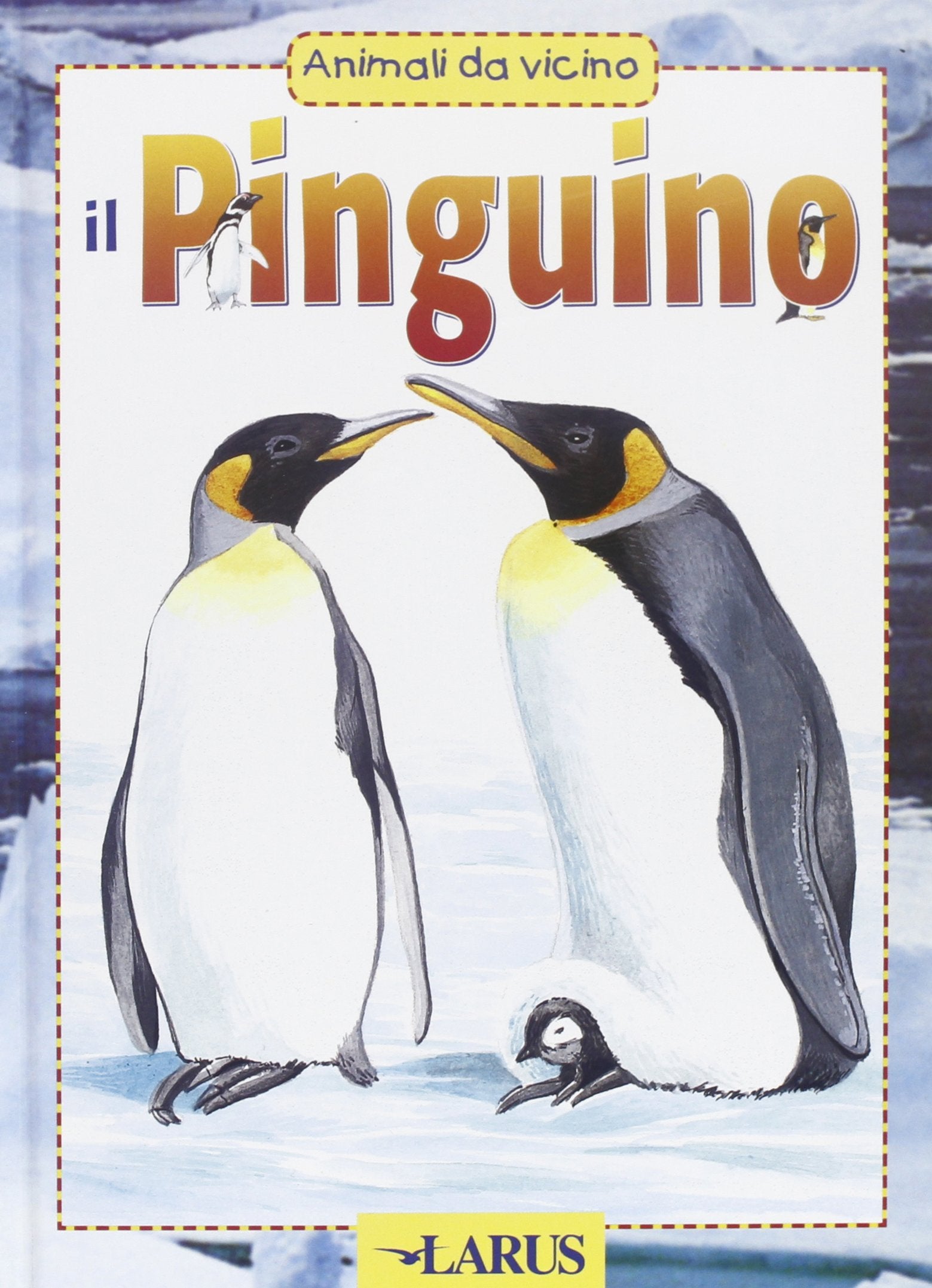 Il pinguino. La forza del gruppo, genitori premurosi, difendersi dai nemici, cercare il cibo, corteggiare Children's books