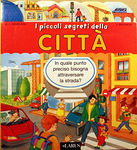 I piccoli segreti della città book