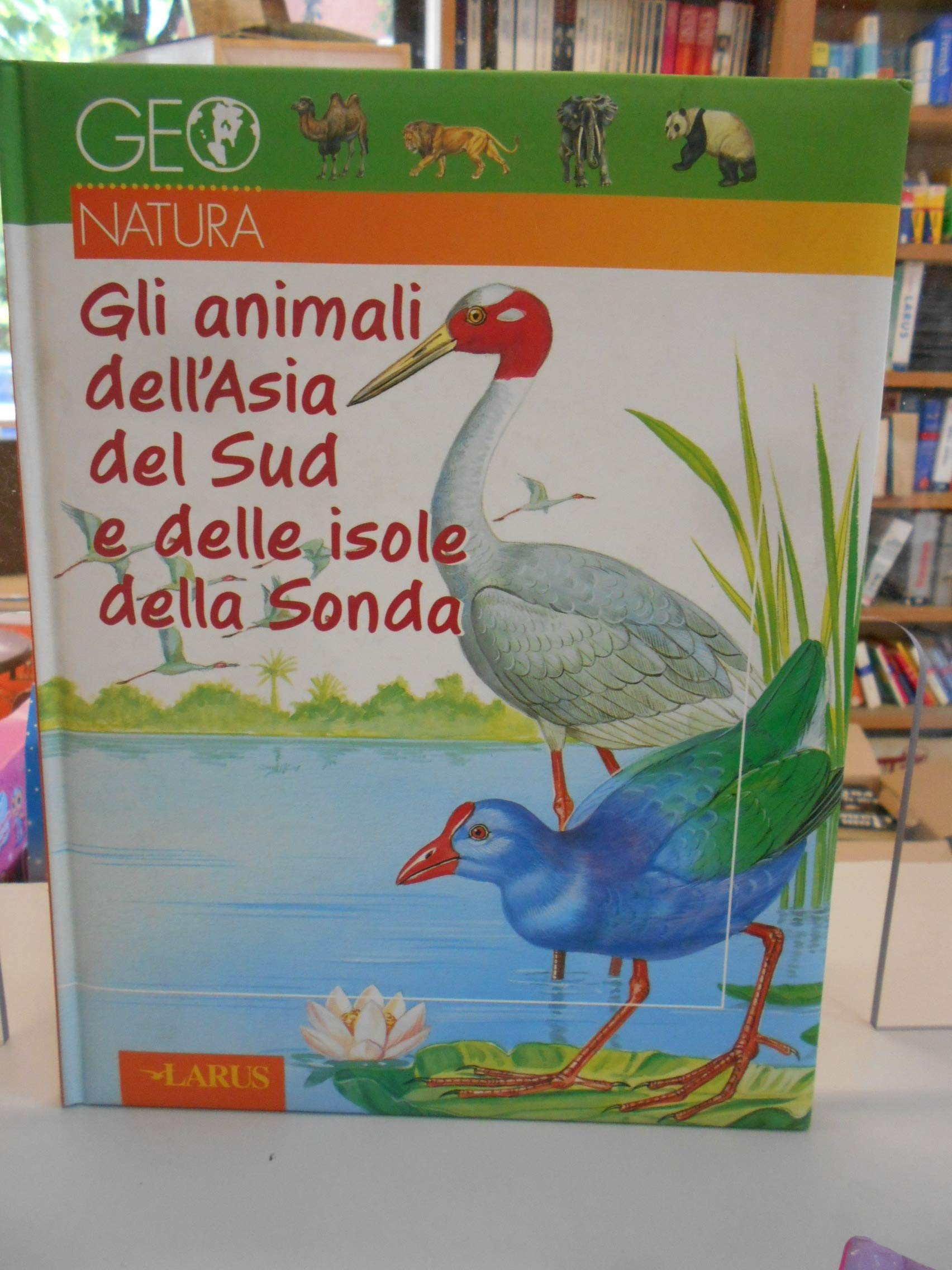 Gli animali dell'Asia del Sud e delle isole della Sonda book