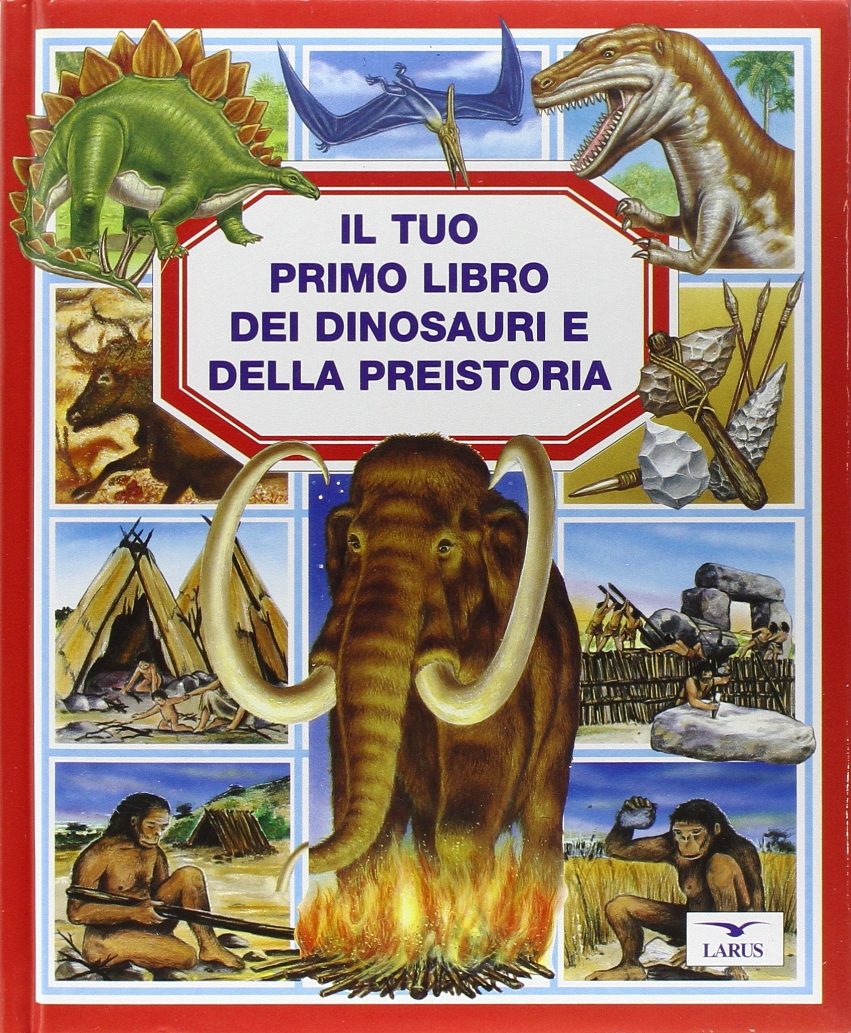 Il tuo primo libro dei dinosauri e della preistoria Non-fiction books for kids